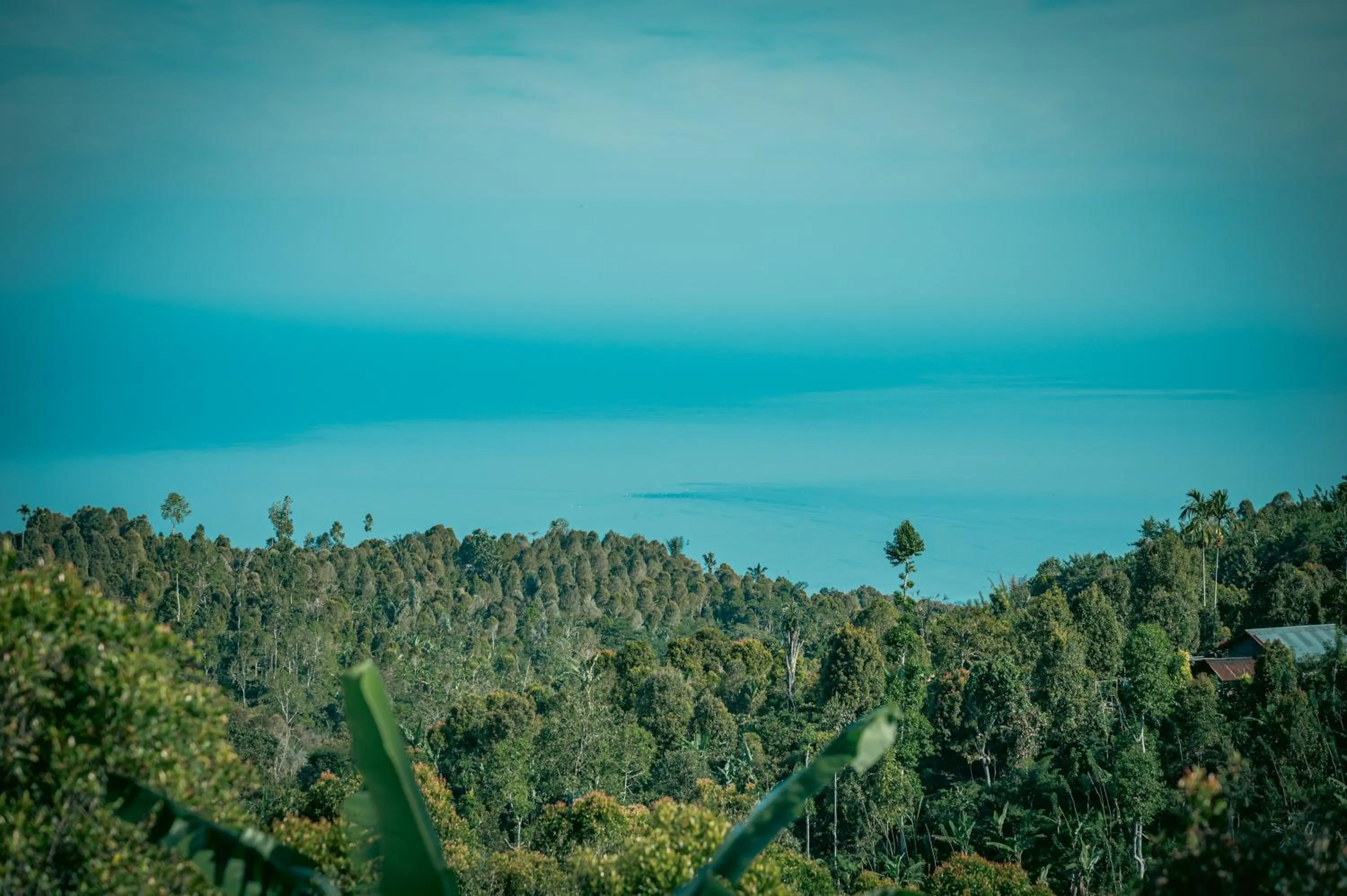 Sea view in Umah Lusa