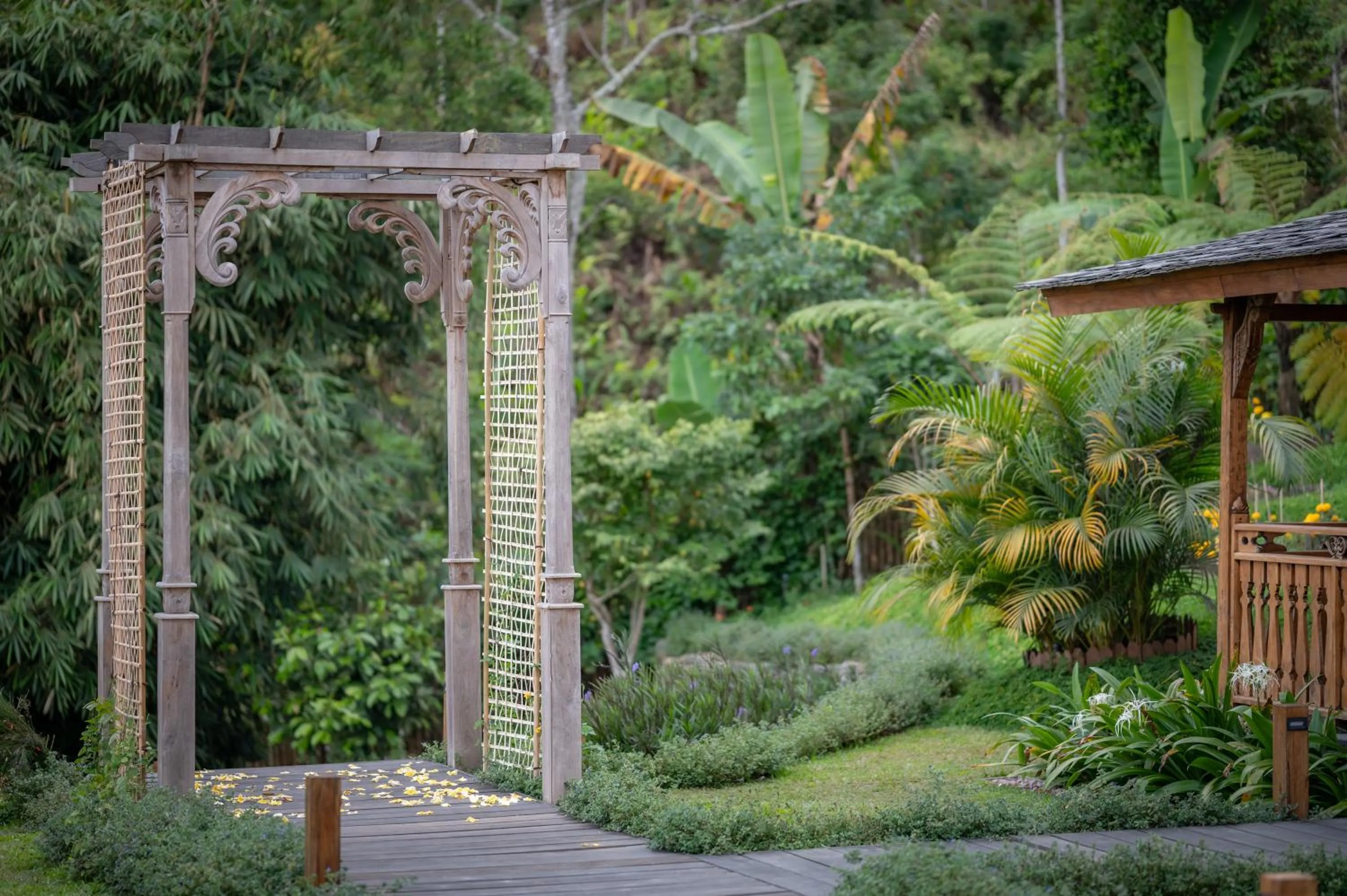Garden view in Umah Lusa