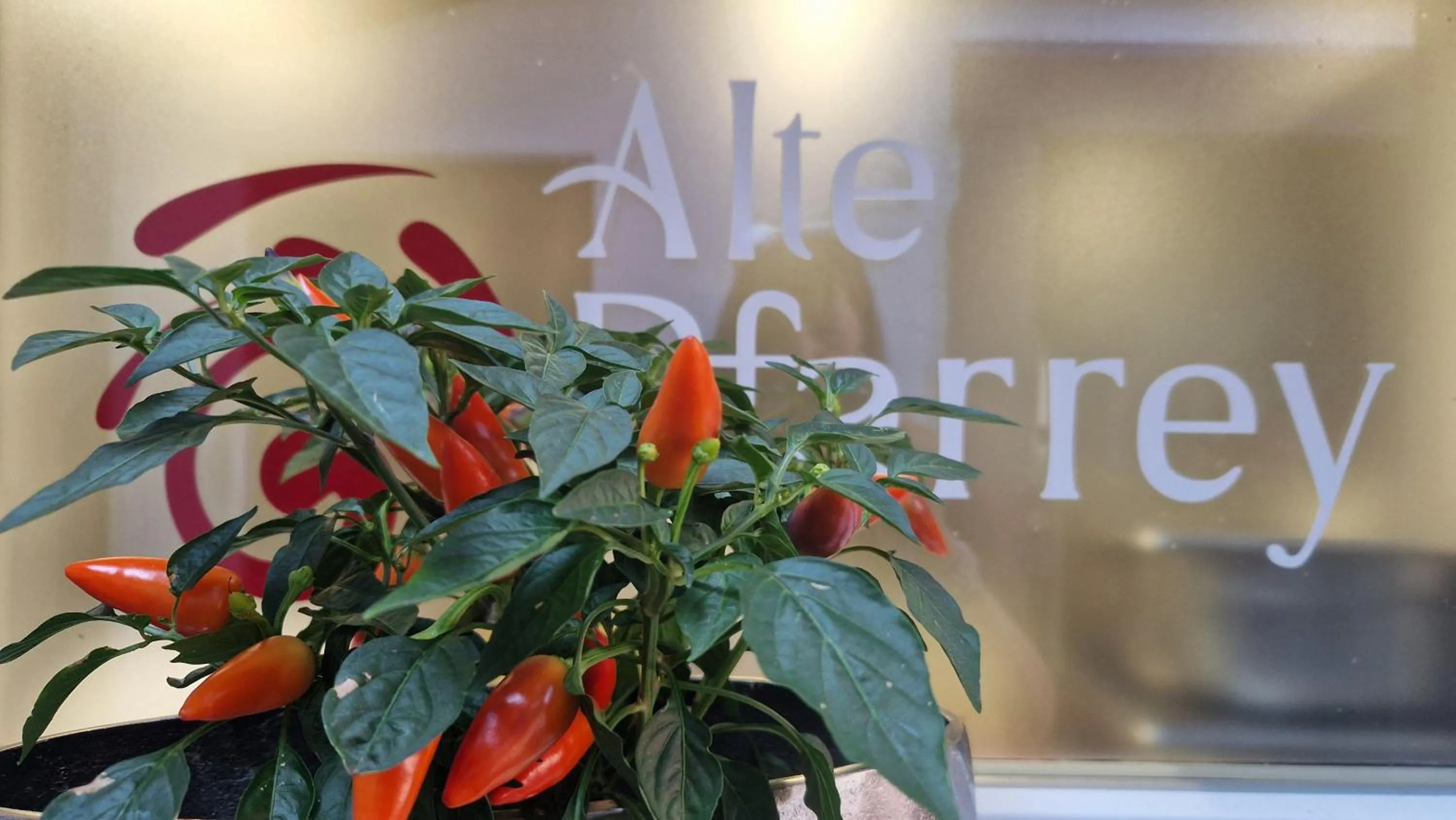 Alte Pfarrey