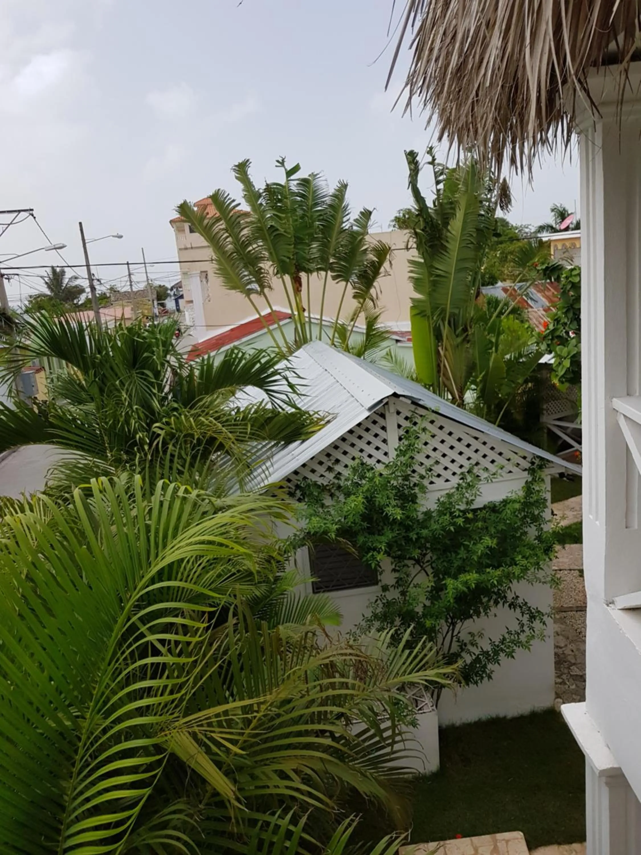 Garden view in Bayahibe Guest House Hotel