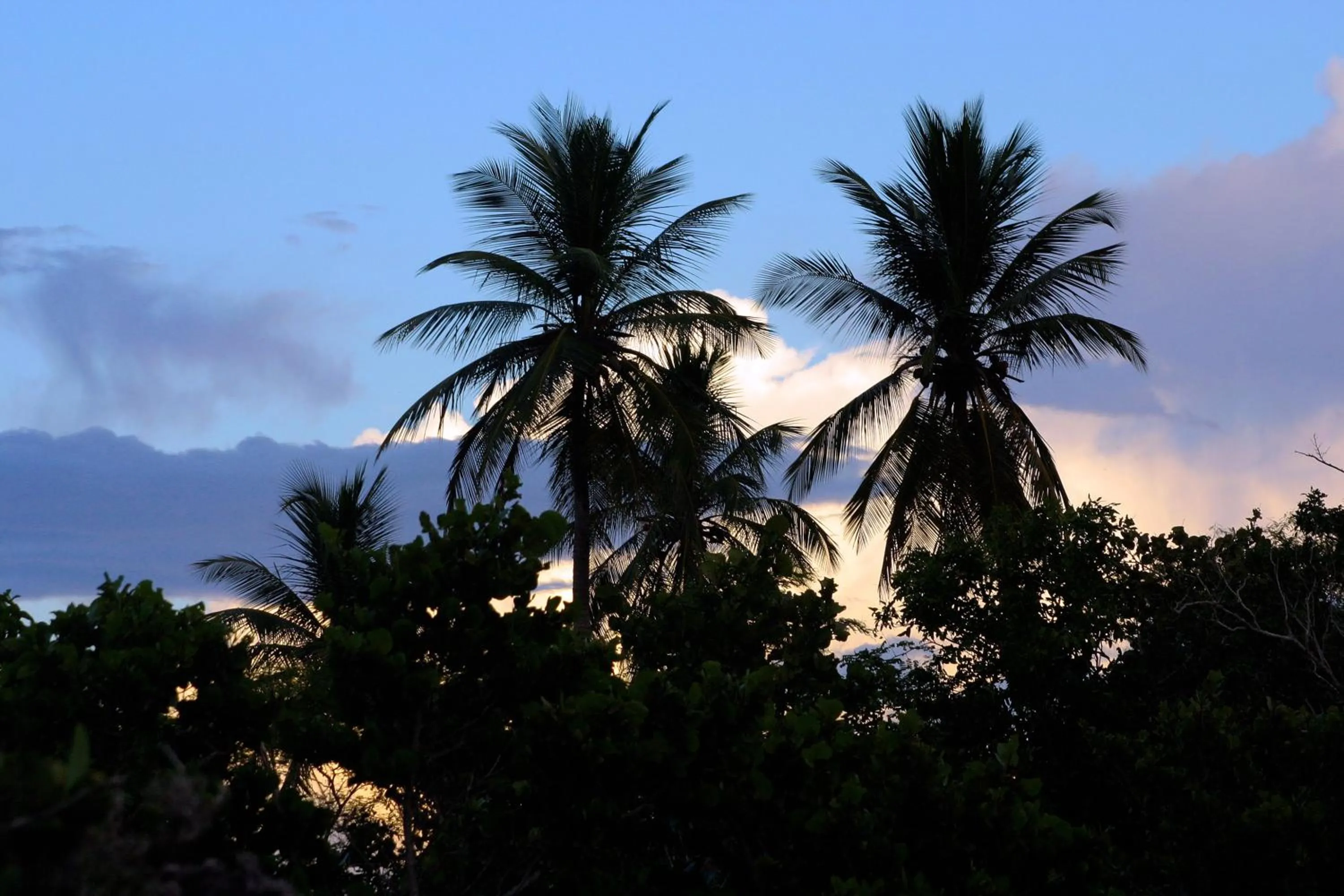 Natural landscape in Bayahibe Guest House Hotel