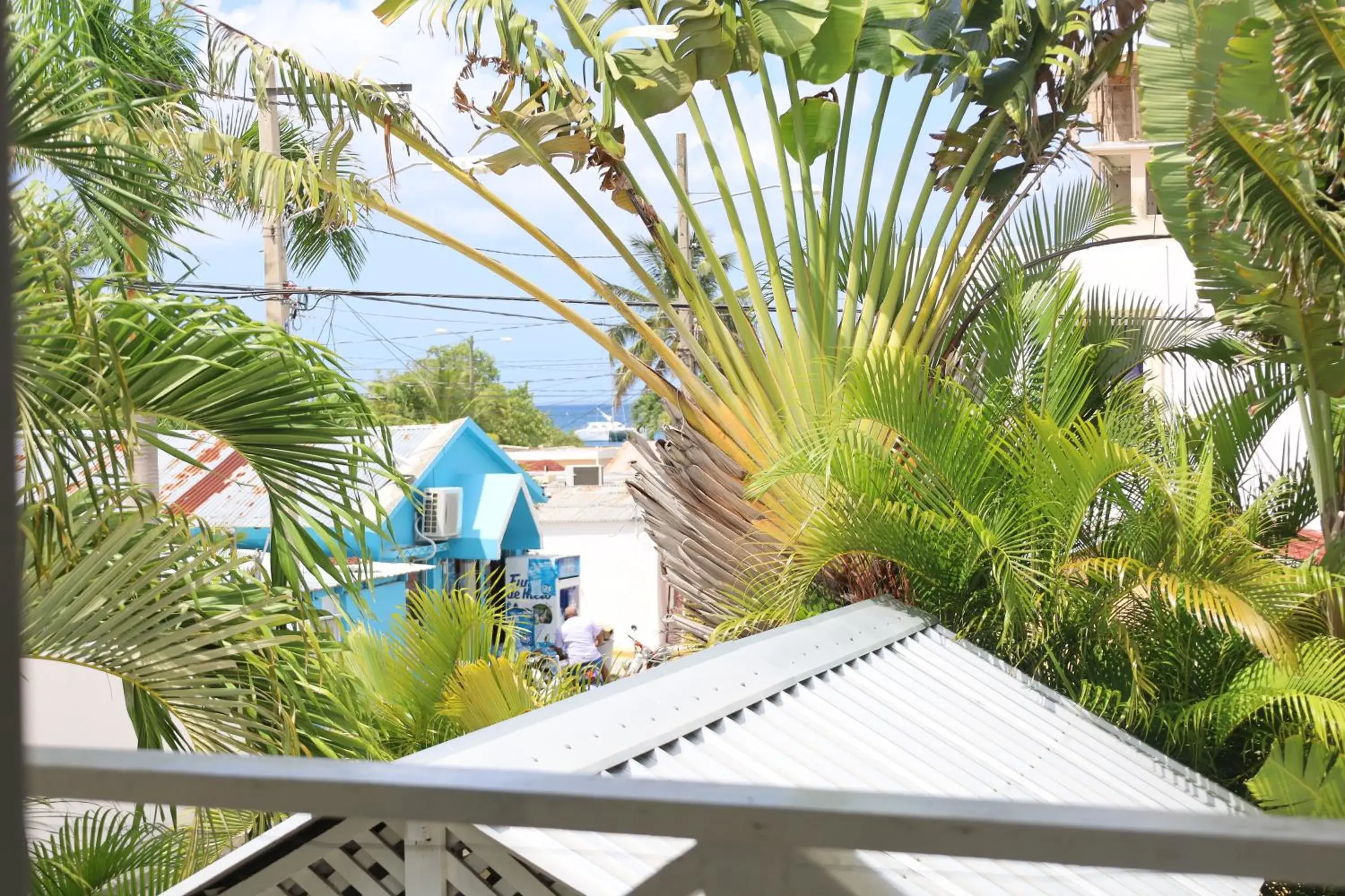 Suite - single occupancy in Bayahibe Guest House Hotel Suite - single occupancy in Bayahibe Guest House Hotel