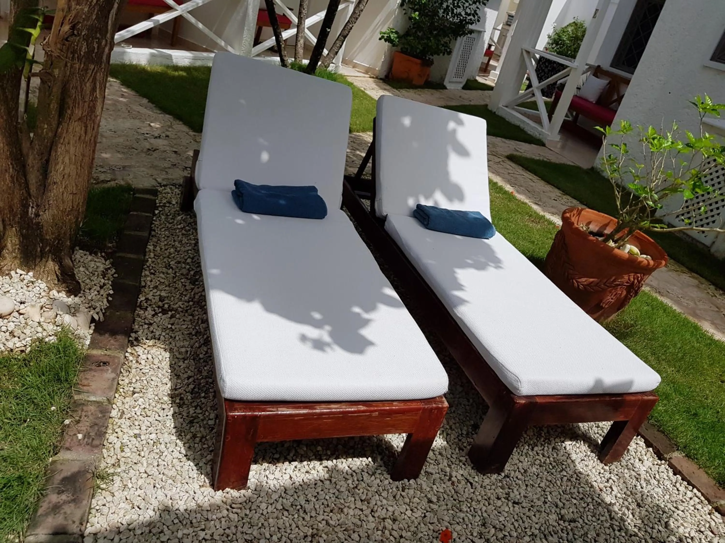 Garden in Bayahibe Guest House Hotel