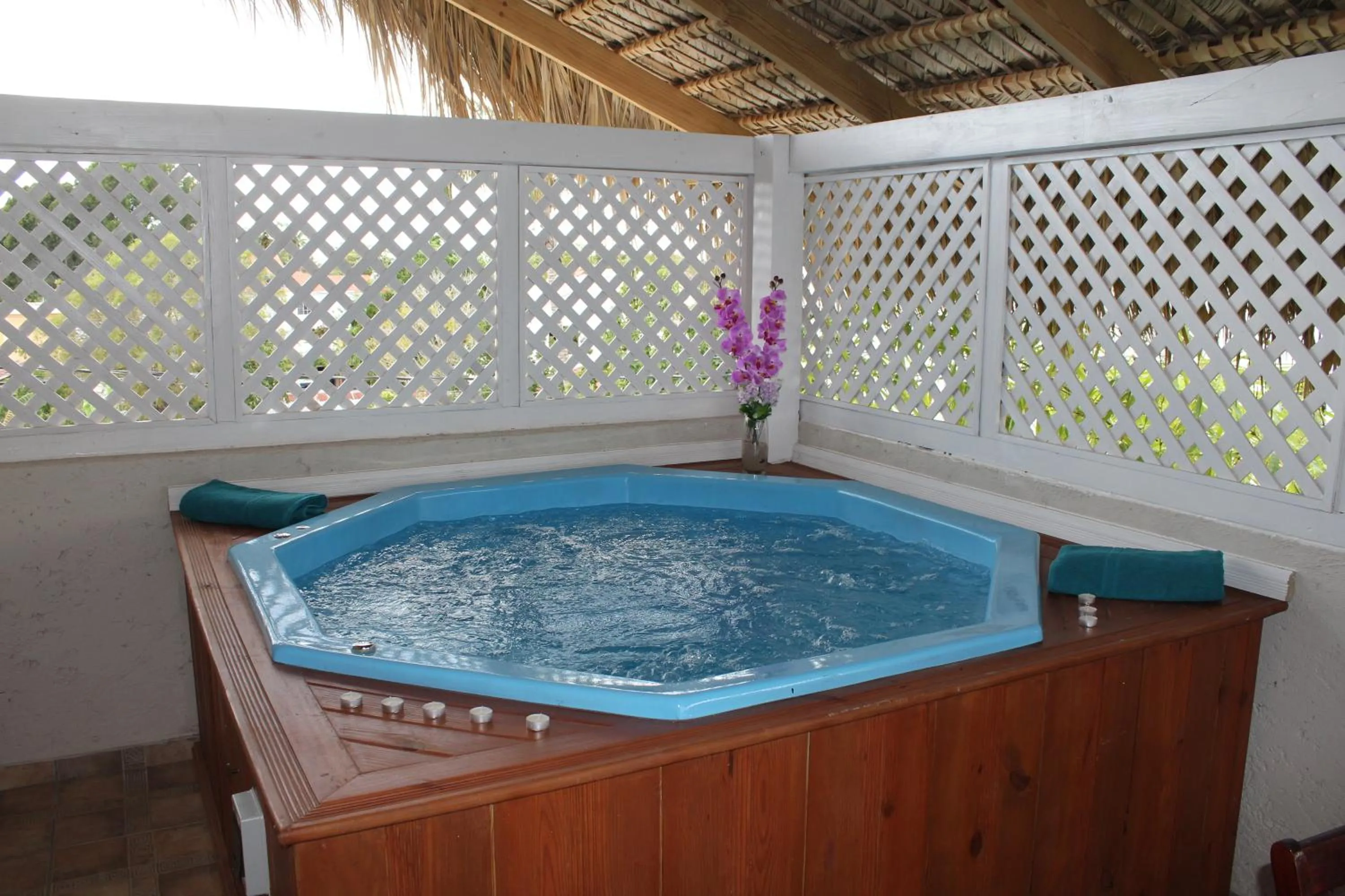 Balcony/Terrace in Bayahibe Guest House Hotel