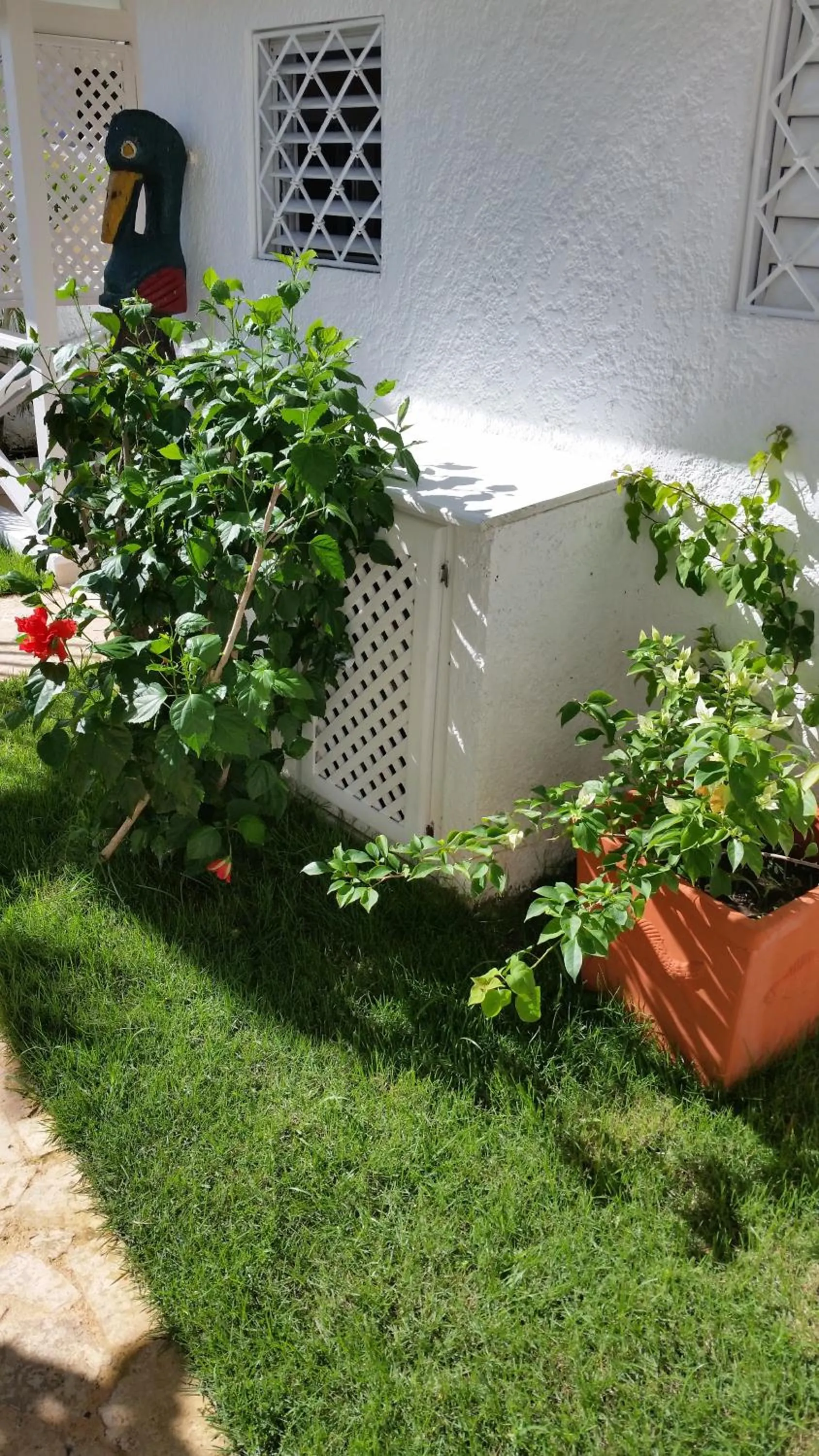 Garden in Bayahibe Guest House Hotel