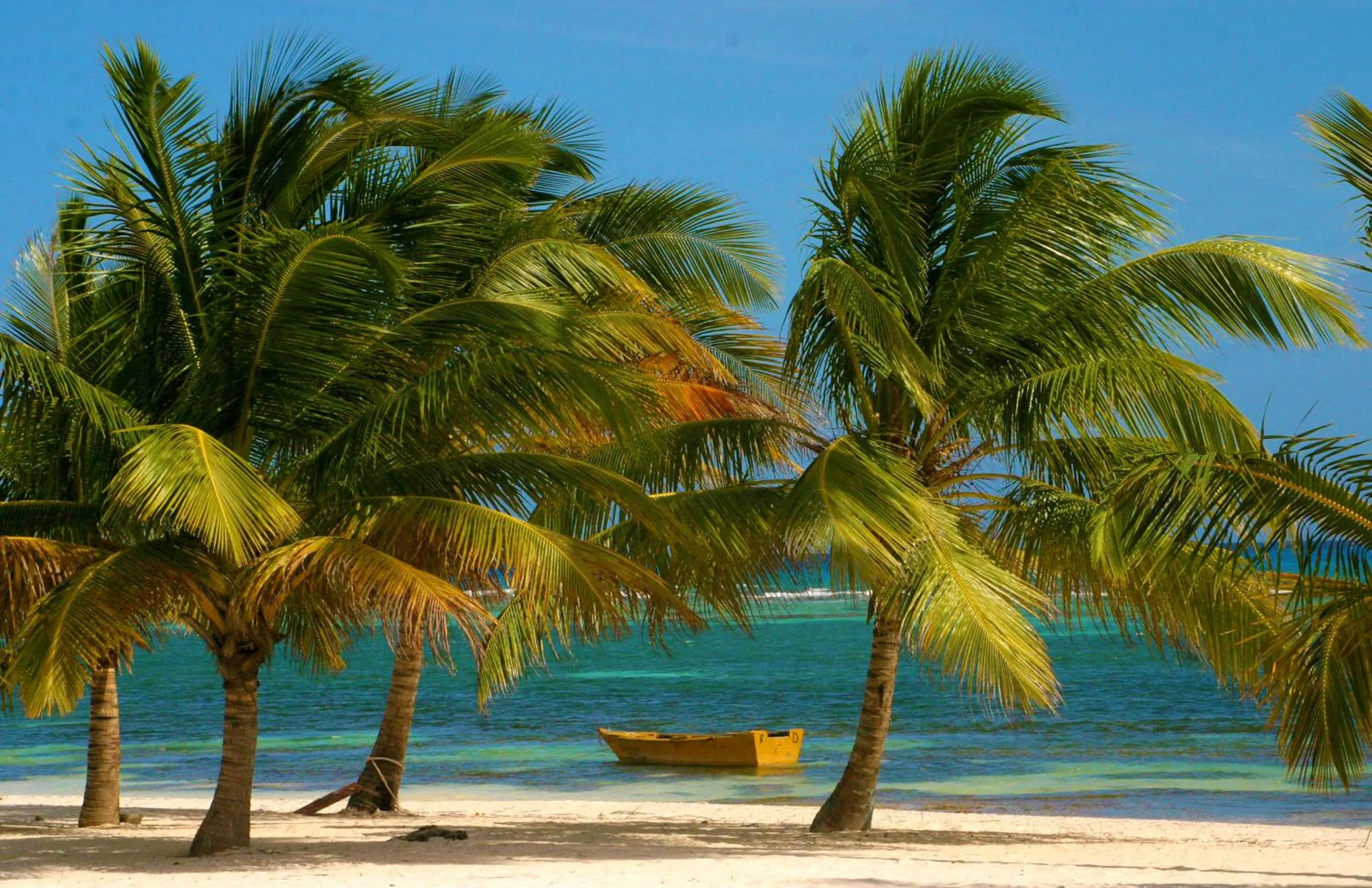 Beach in Bayahibe Guest House Hotel