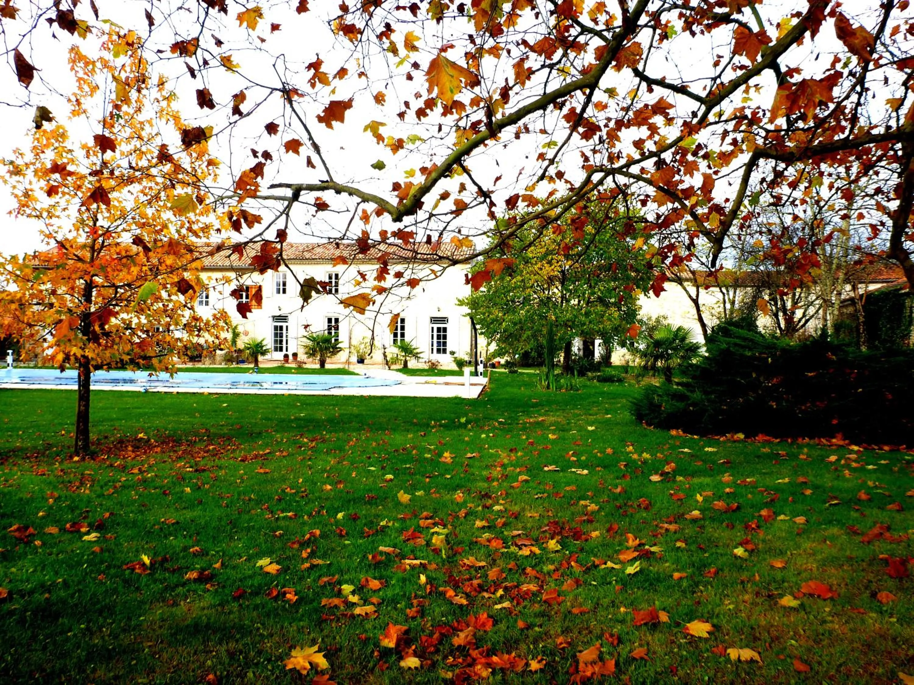 Autumn in Domaine du Papillon