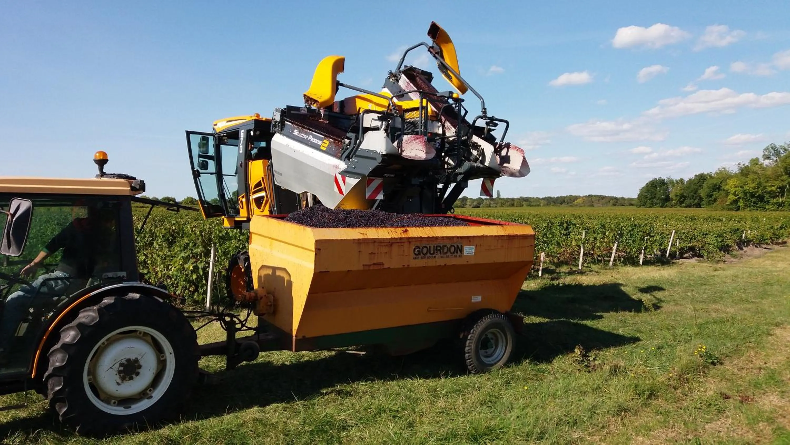 Autumn in Domaine du Papillon