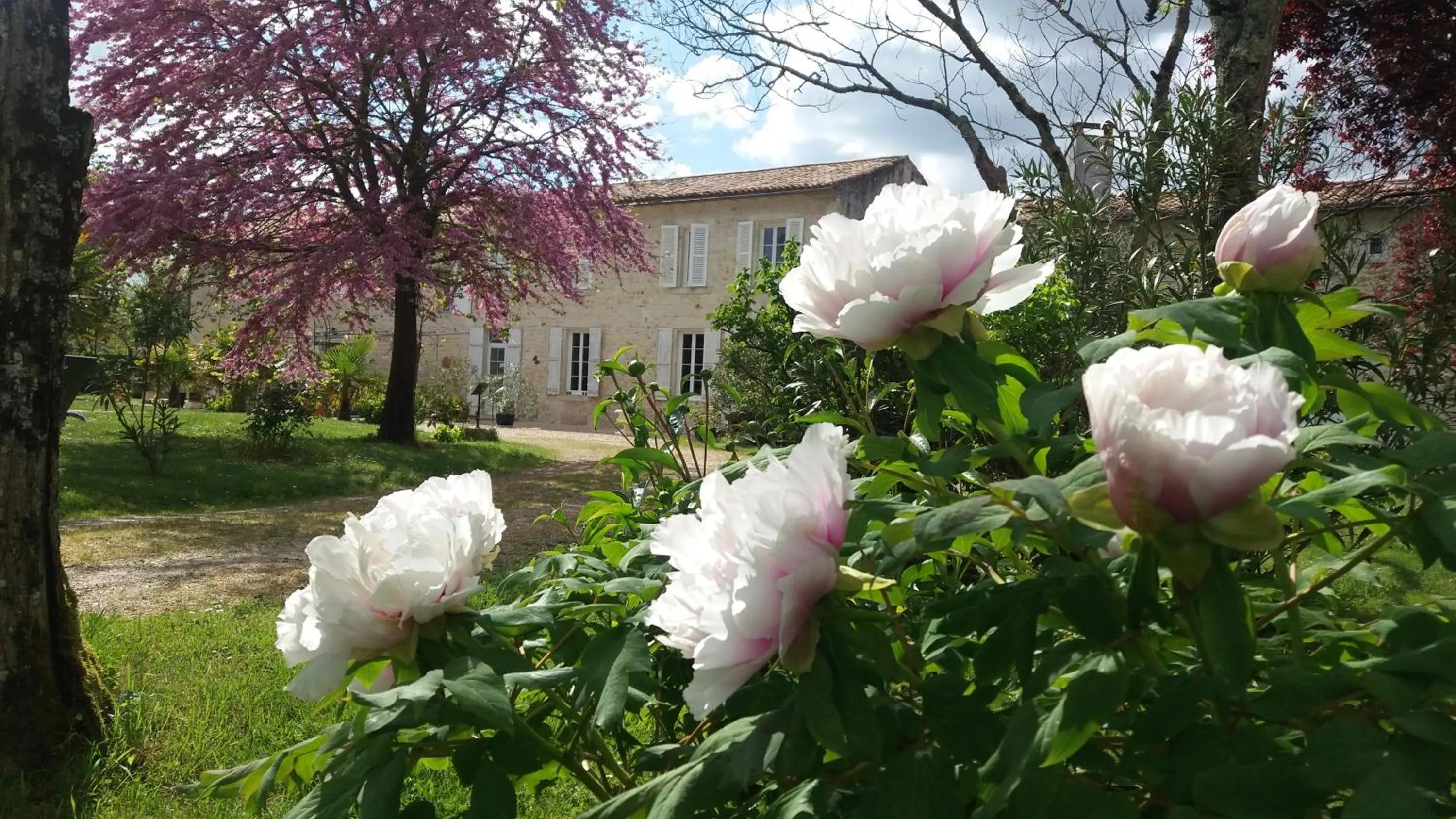 Spring in Domaine du Papillon