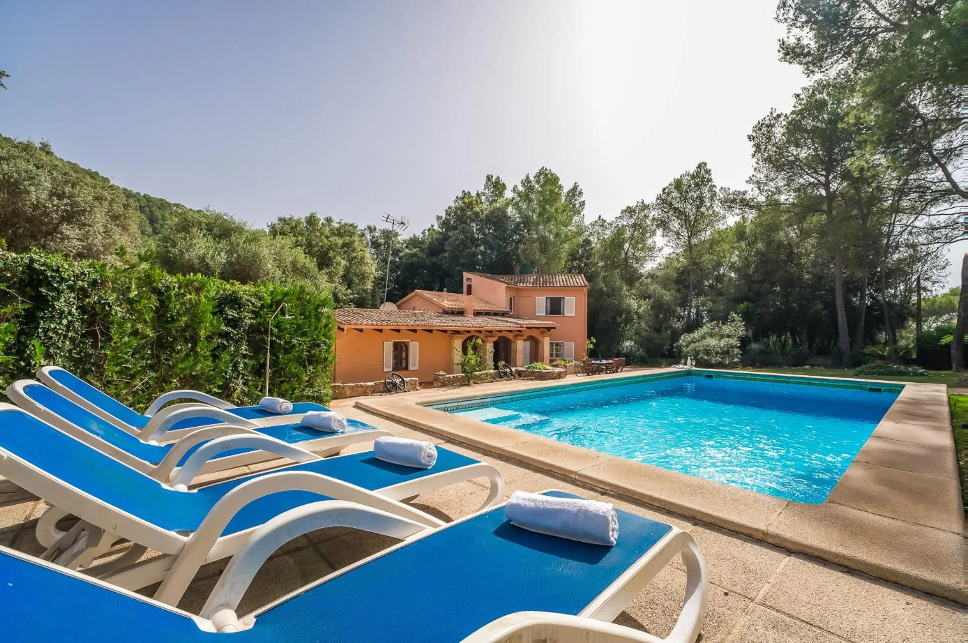 Ideal Property Mallorca - Esteban