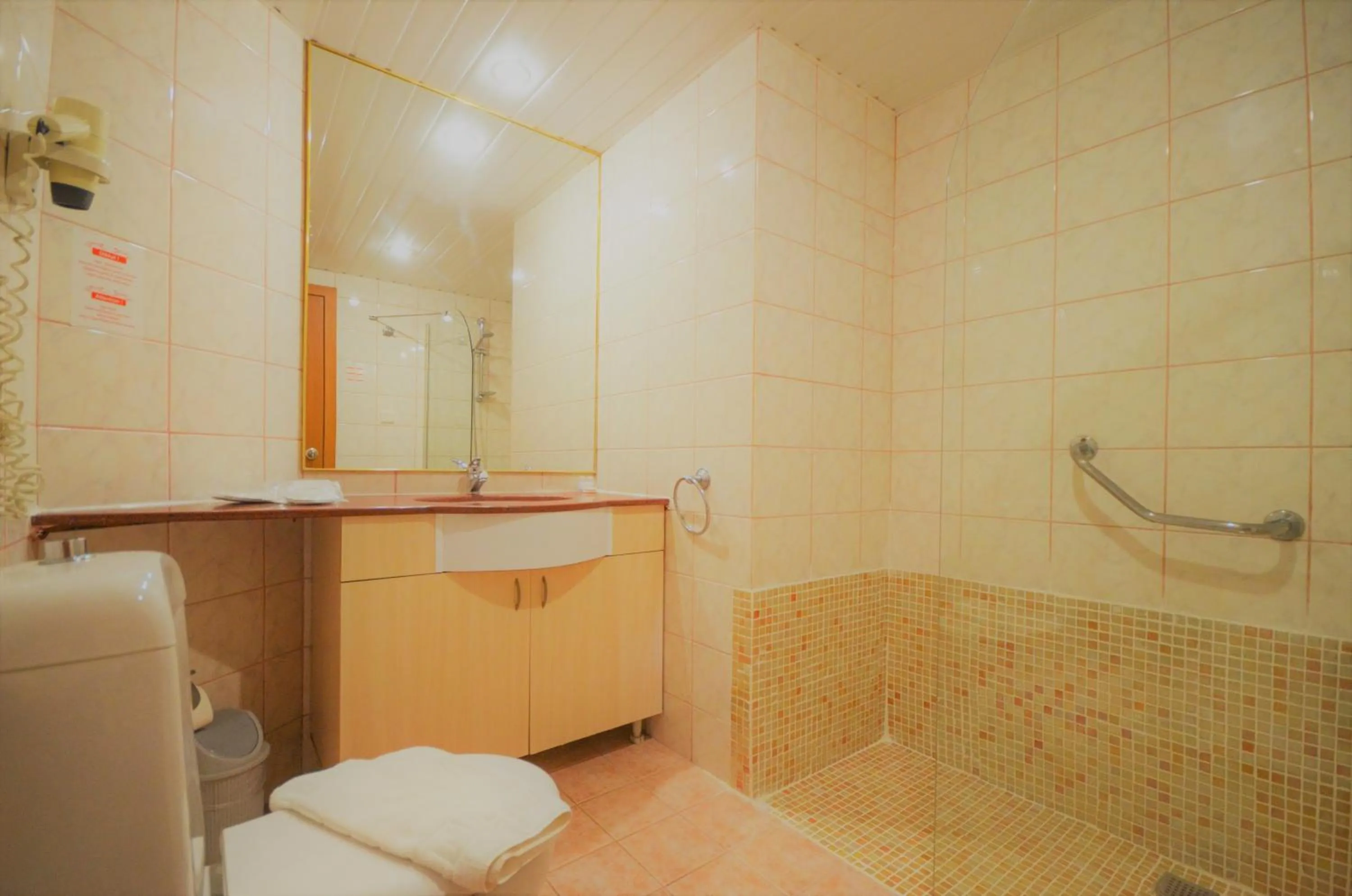Shower in Select Suite & Apart Hotel