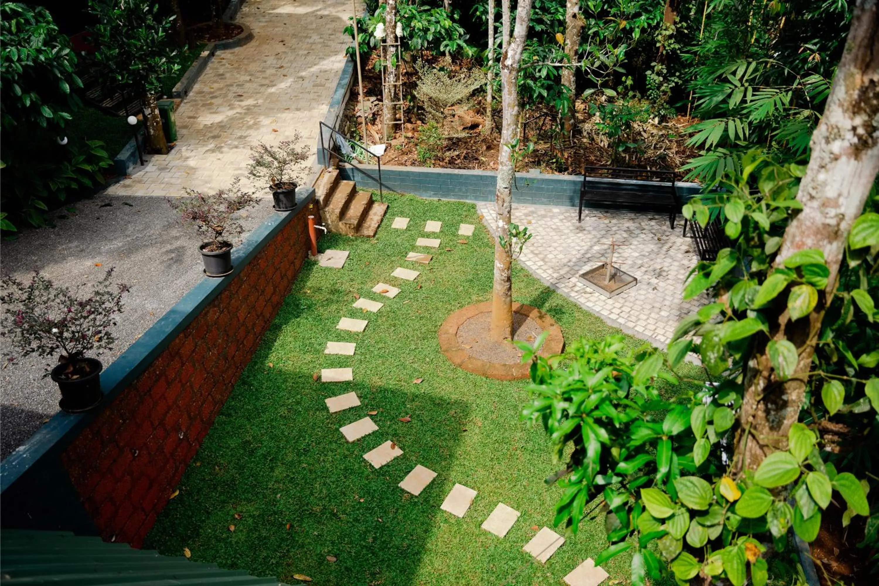 Spring in Ethnic Villa Wayanad