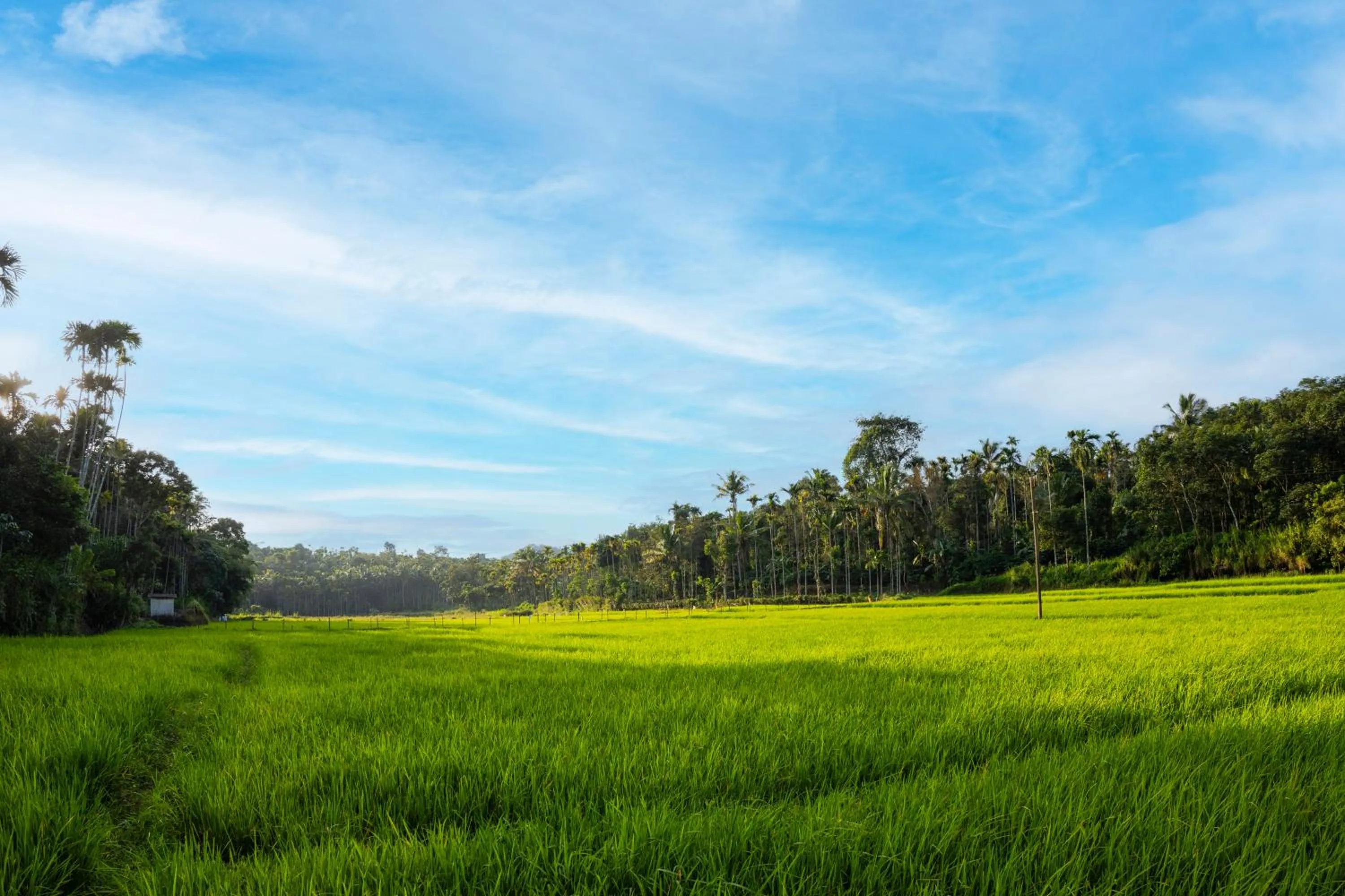 Spring in Ethnic Villa Wayanad