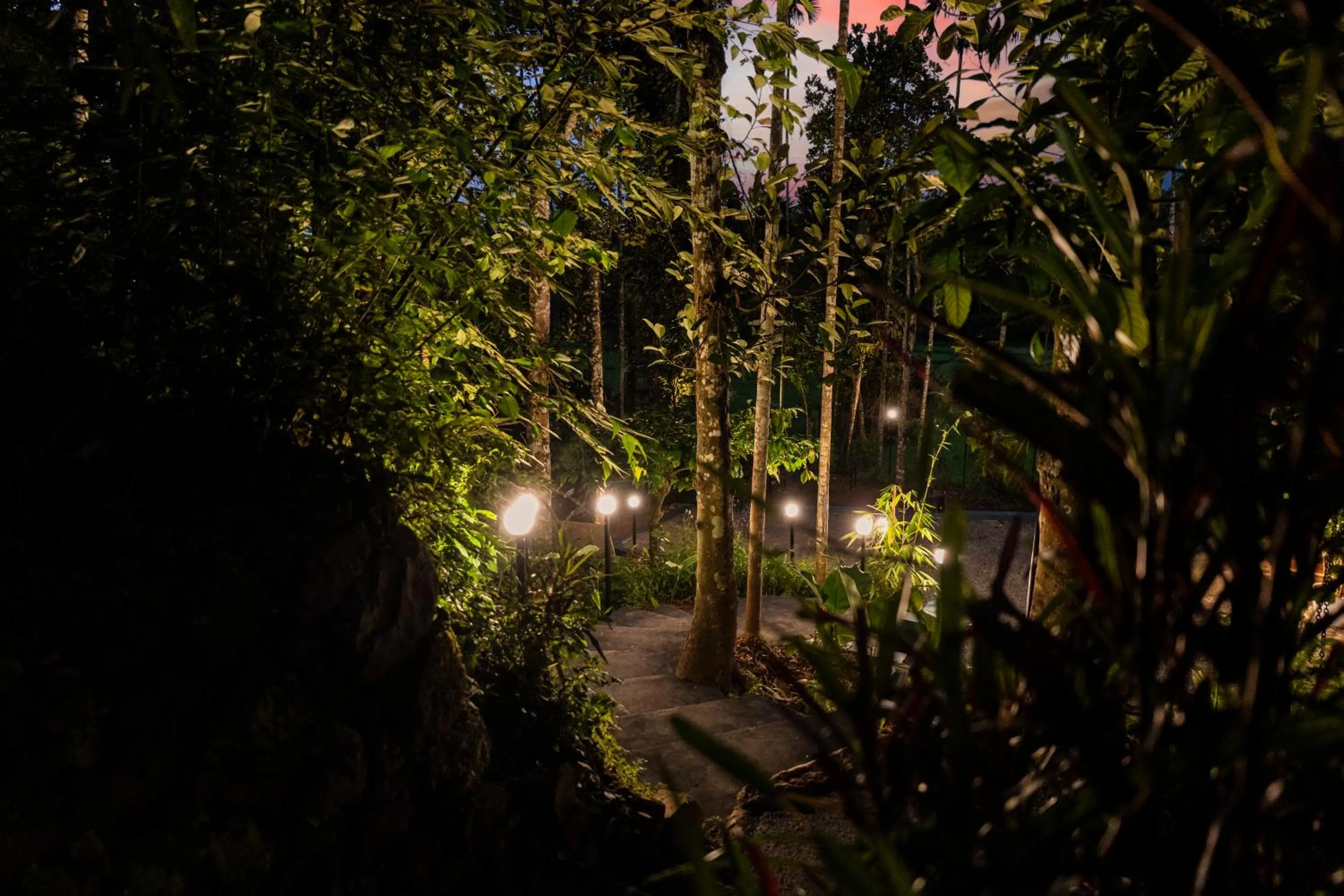 Spring in Ethnic Villa Wayanad