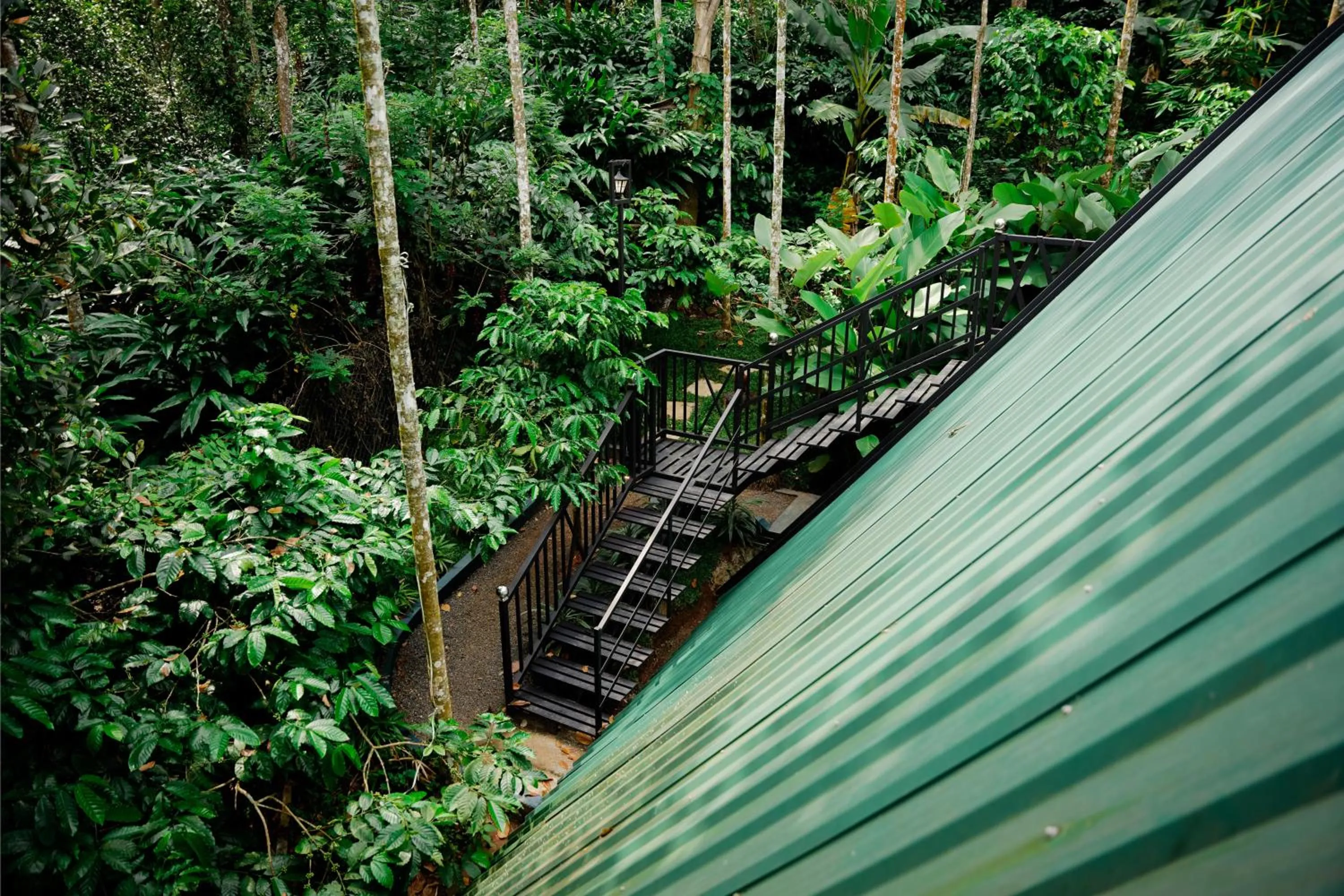 Spring in Ethnic Villa Wayanad