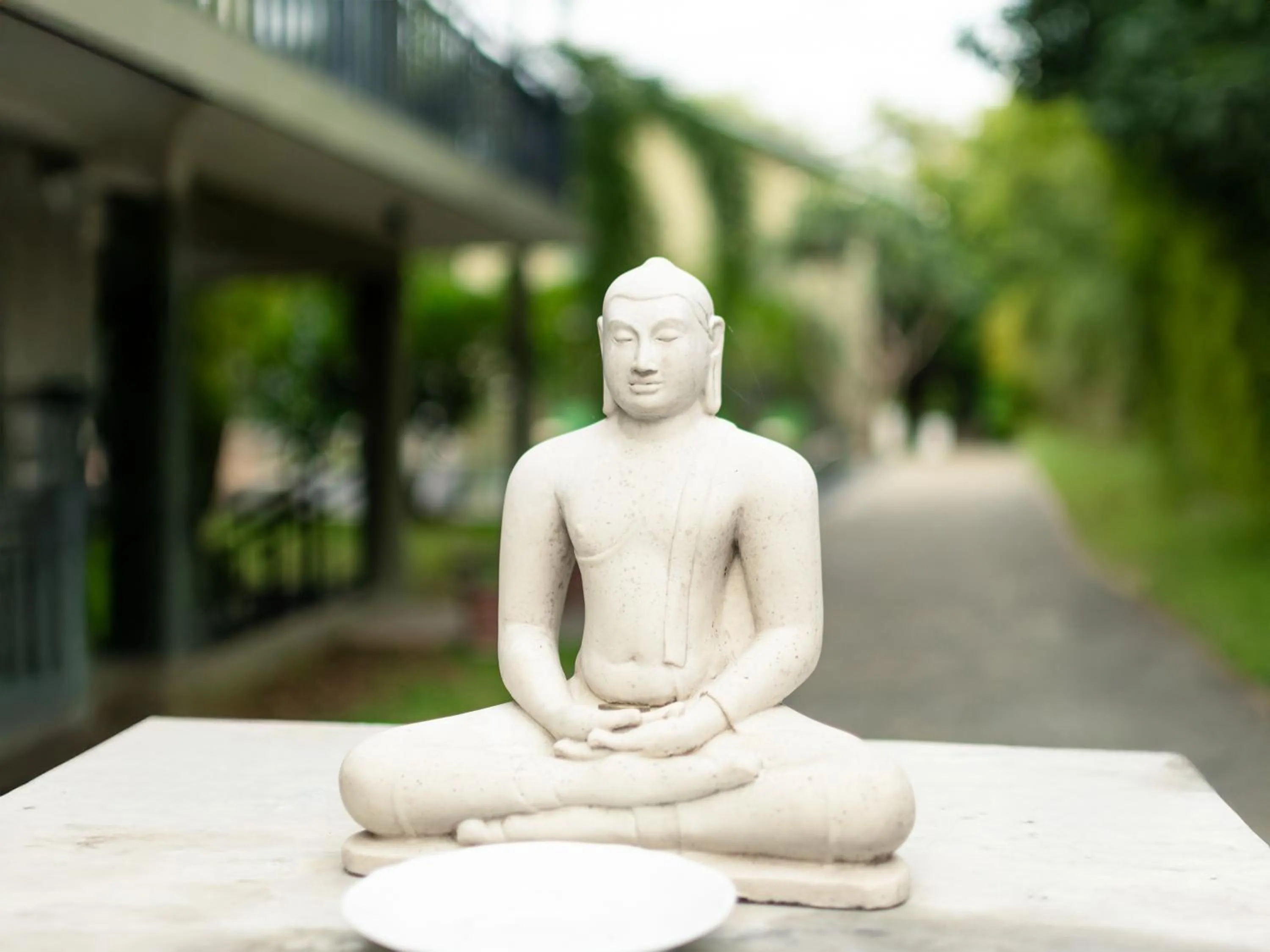 Area and facilities in Moi Dambulla by DBI