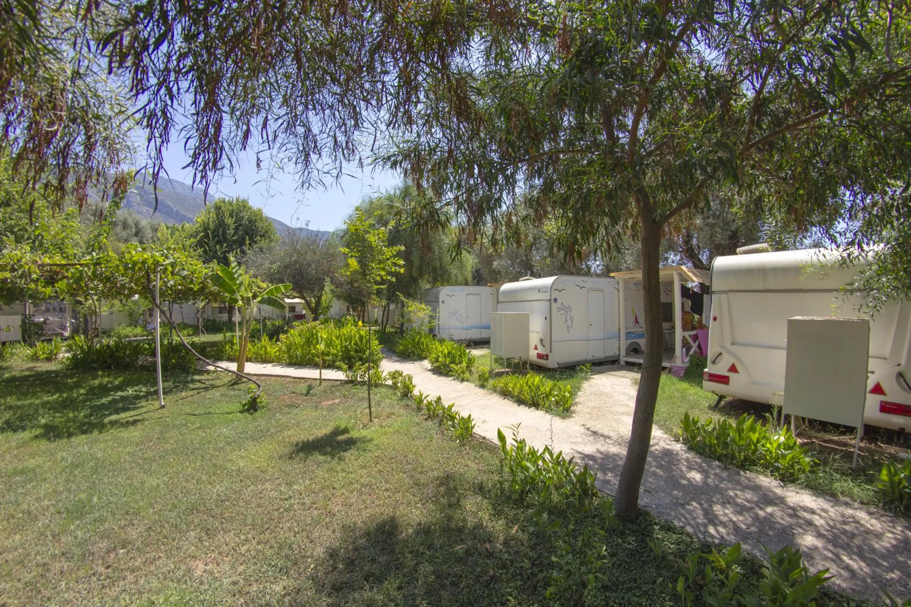 Garden in S3 Seahorse Beach Club