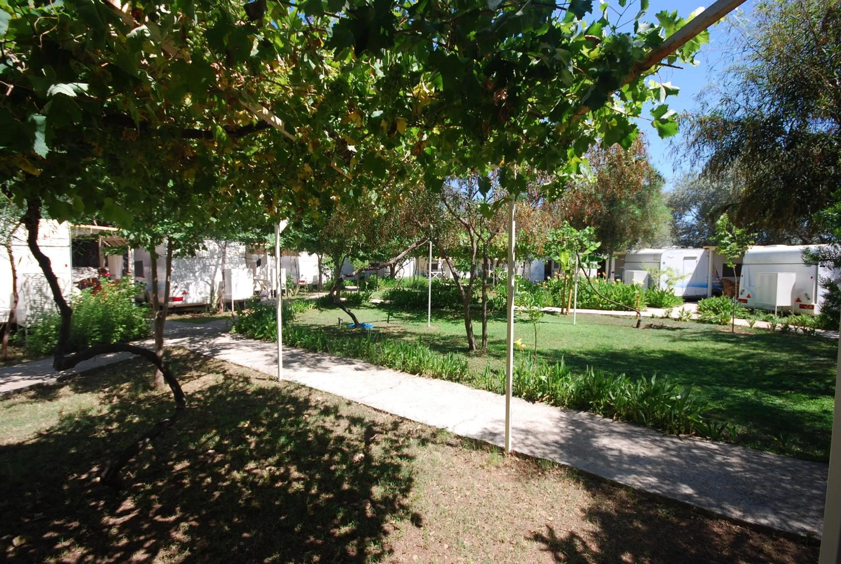 Garden in S3 Seahorse Beach Club