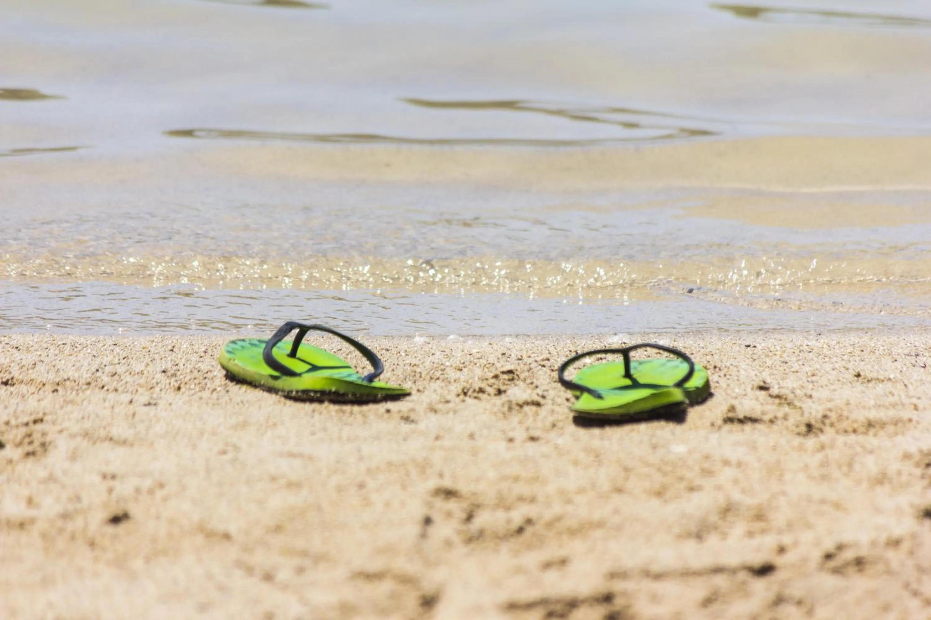 Beach in S3 Seahorse Beach Club