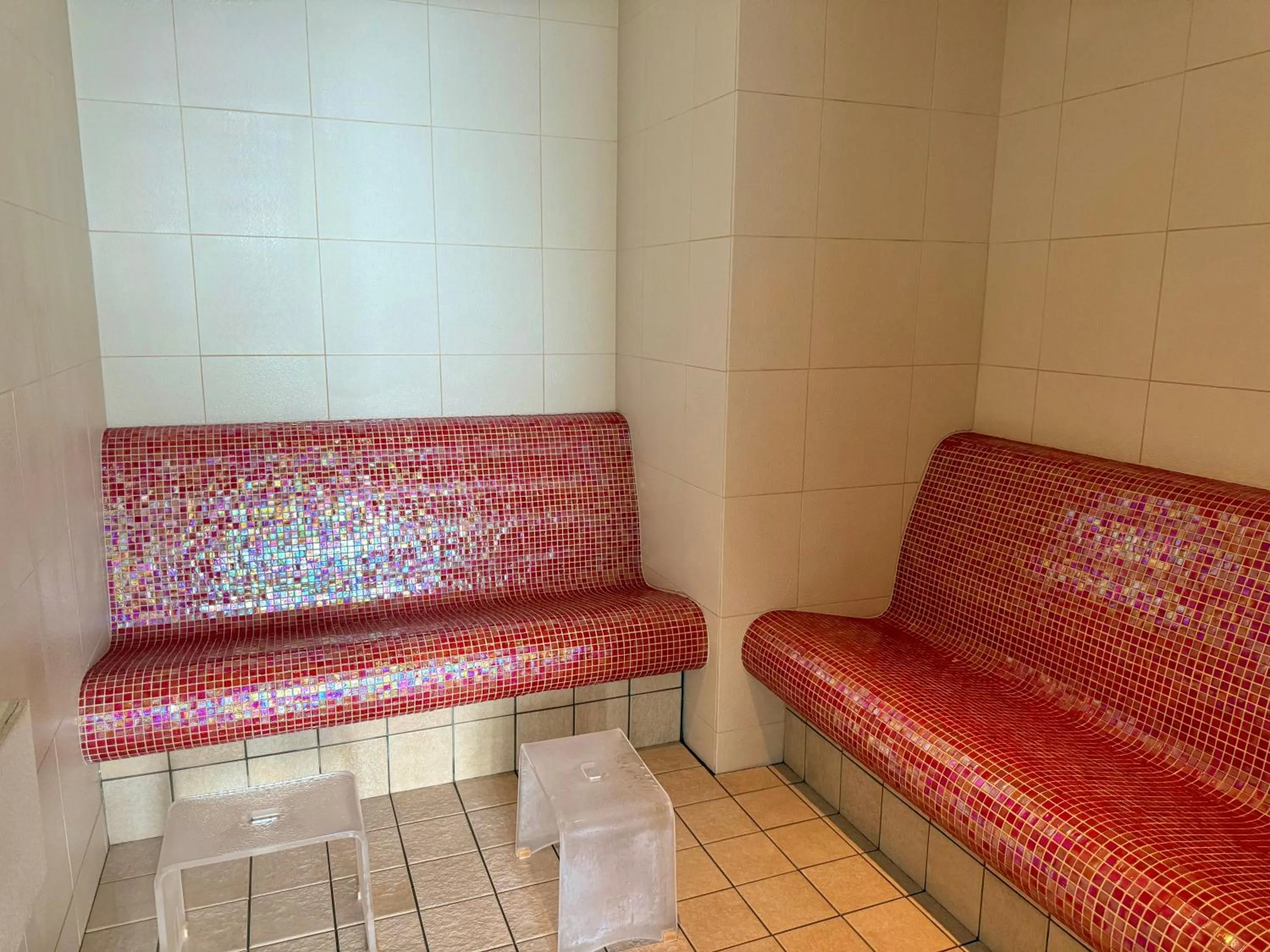 Steam room in JR Kyushu Hotel Blossom Oita