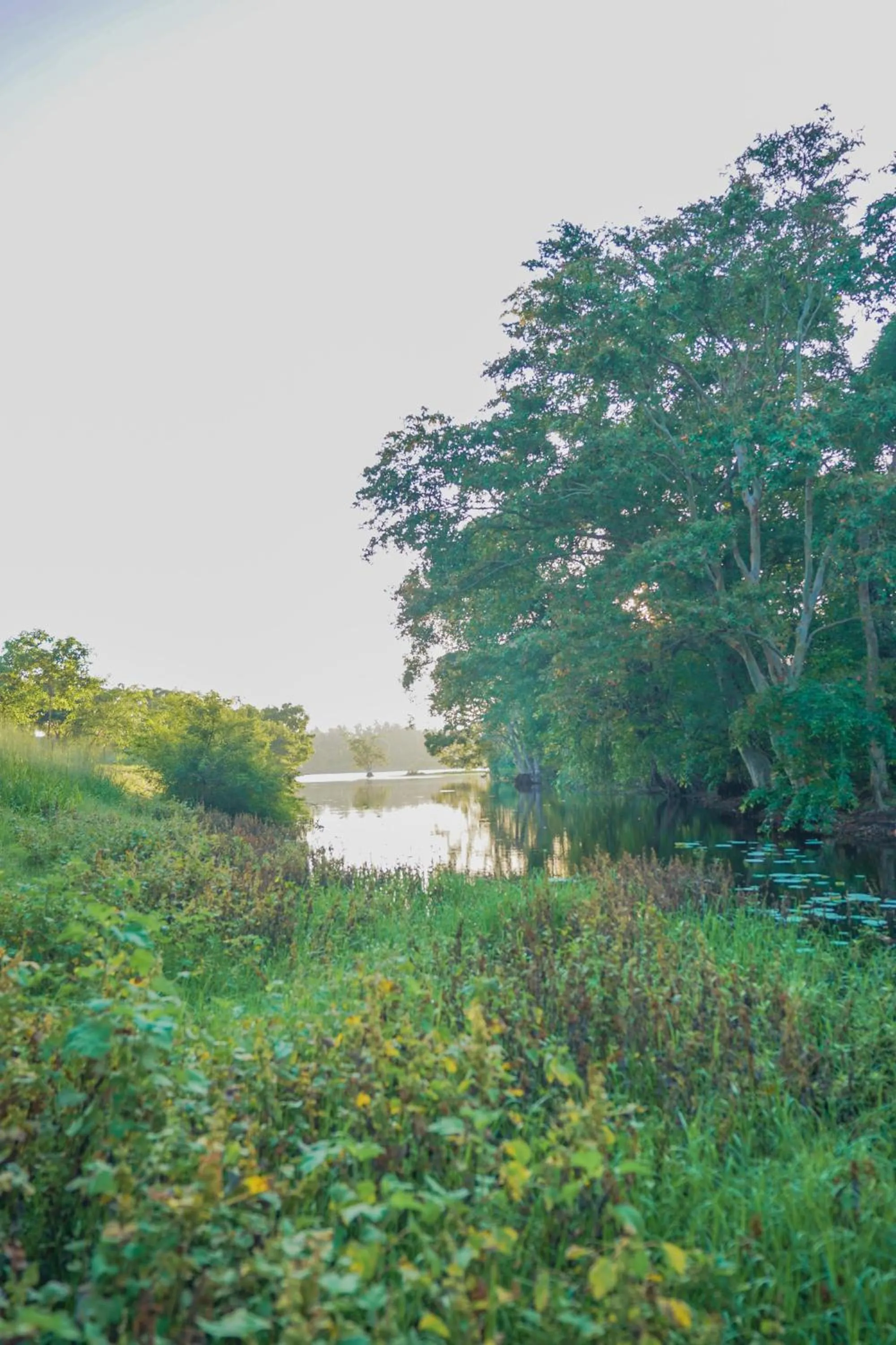 Natural landscape in Vaana Resort
