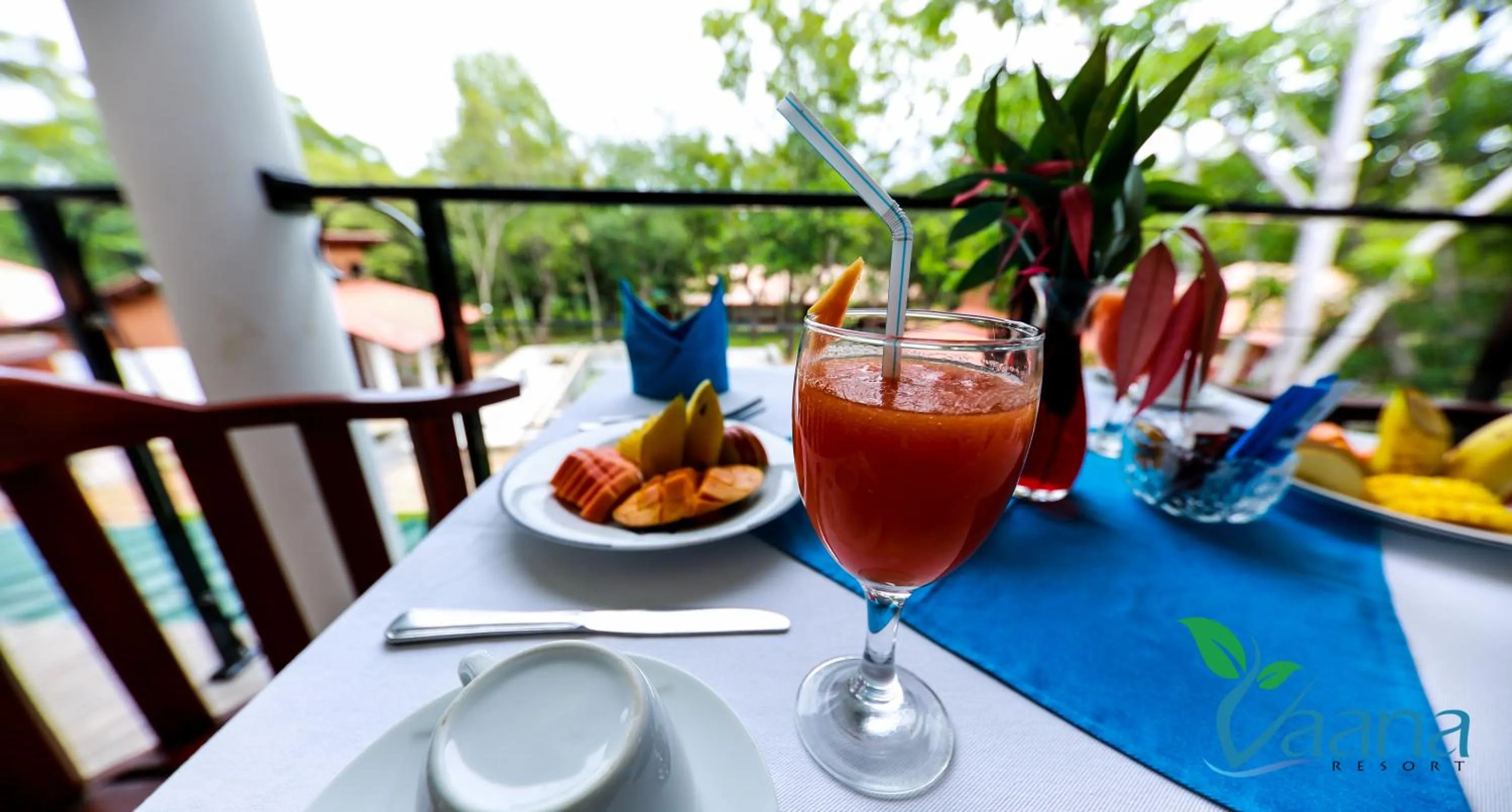 Non alcoholic drinks in Vaana Resort