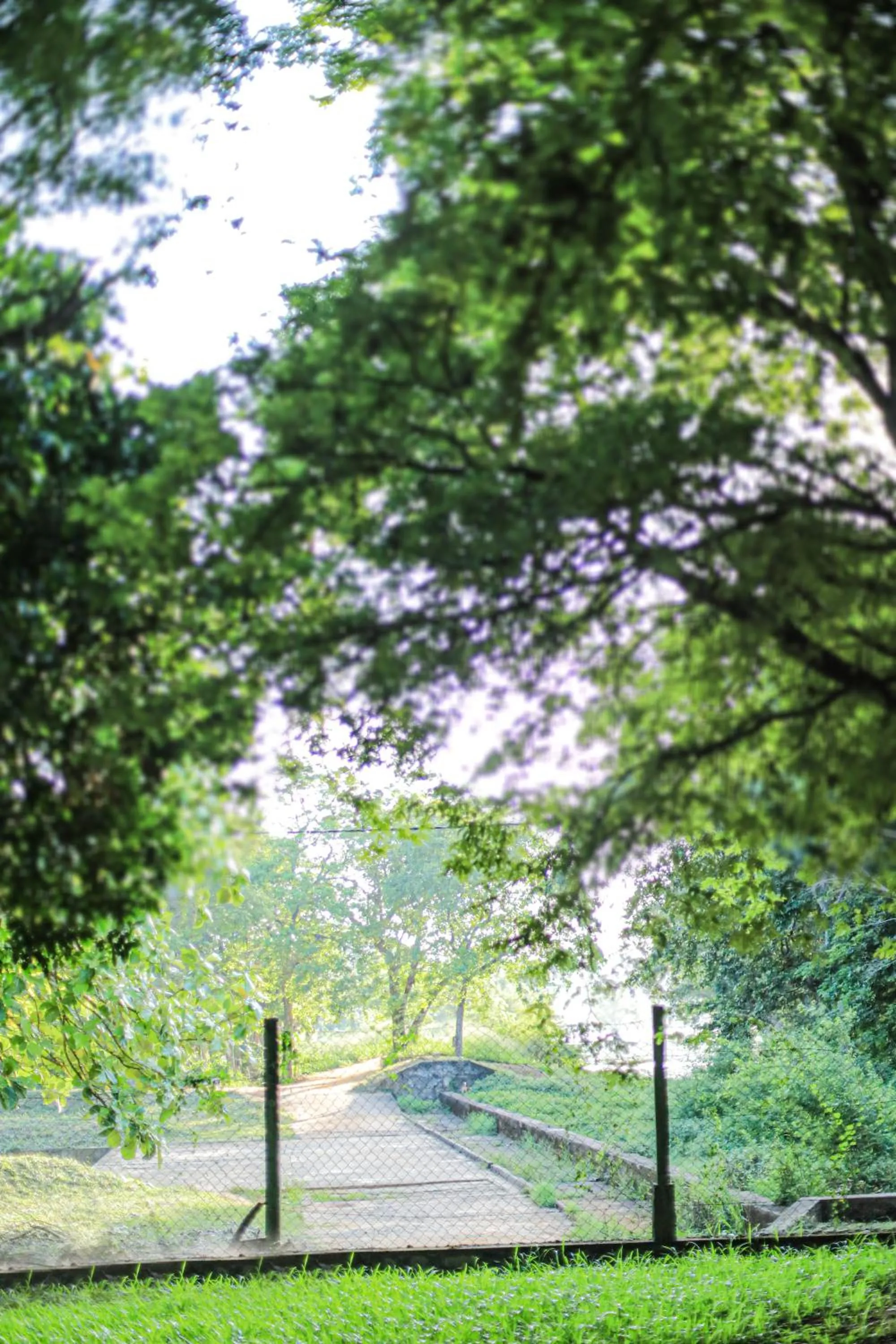 Natural landscape in Vaana Resort