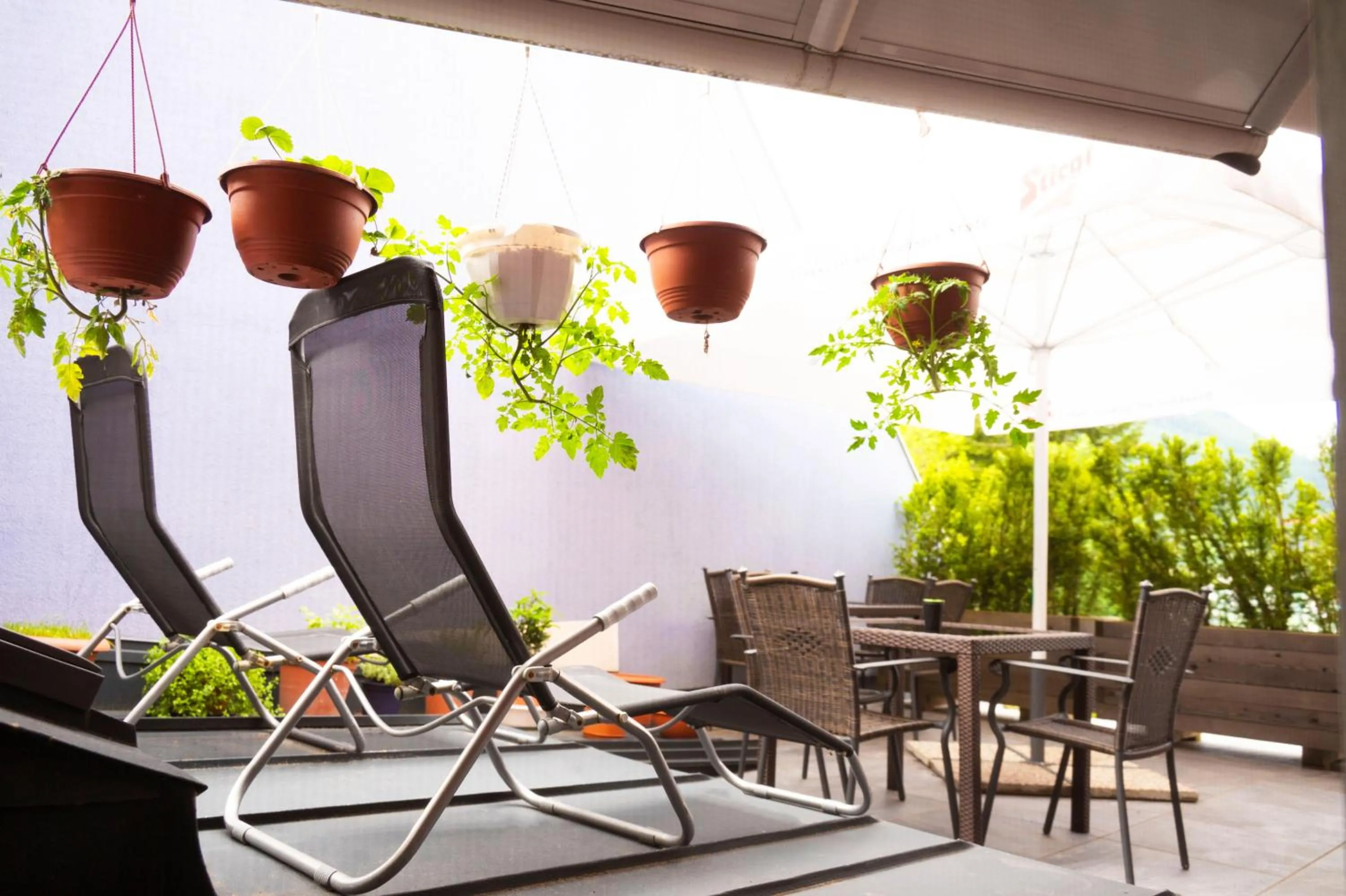 Balcony/Terrace in Bed & Breakfast Goldener Stiefel