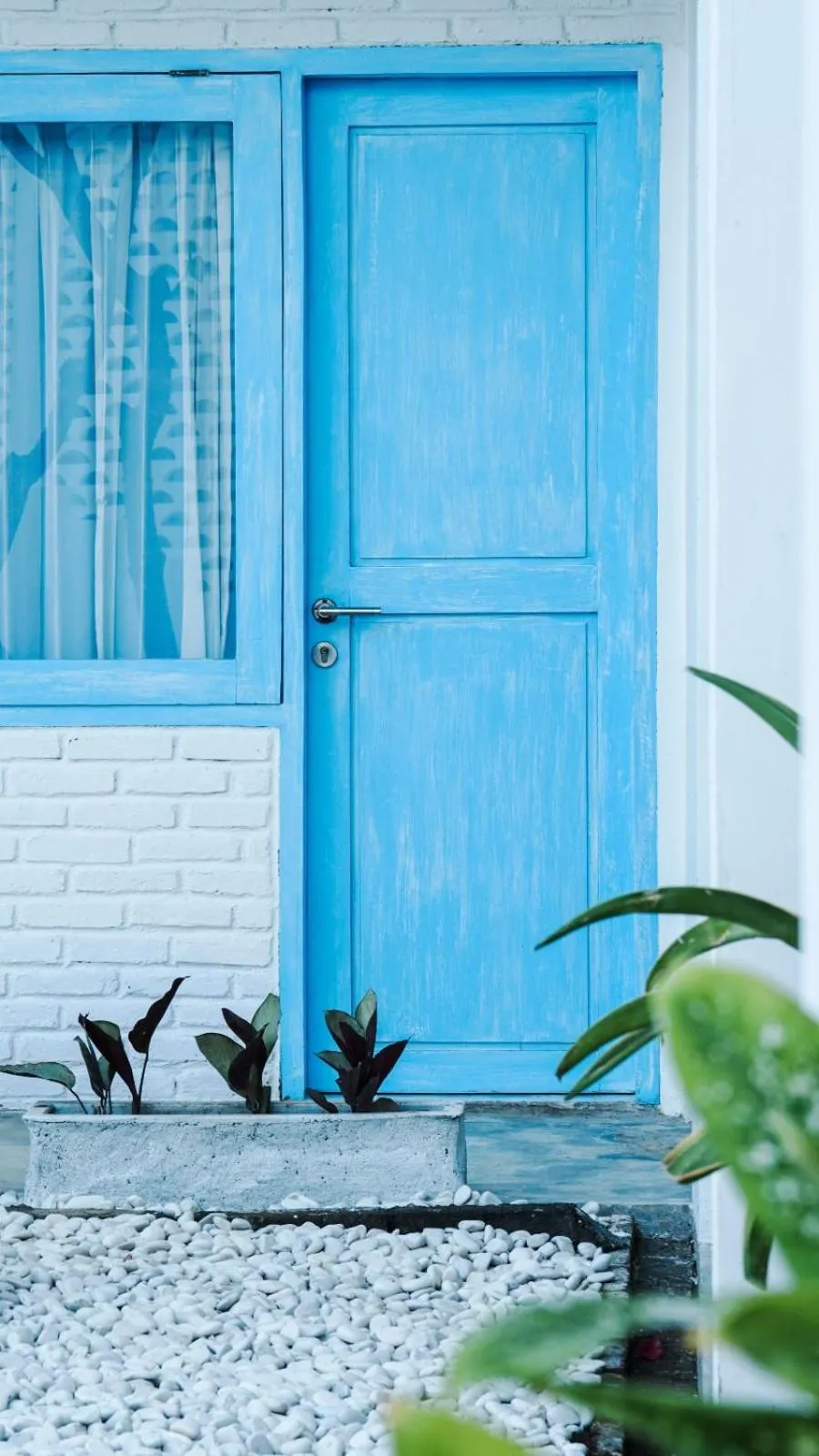 Day in Paras Paros Marina Lodge