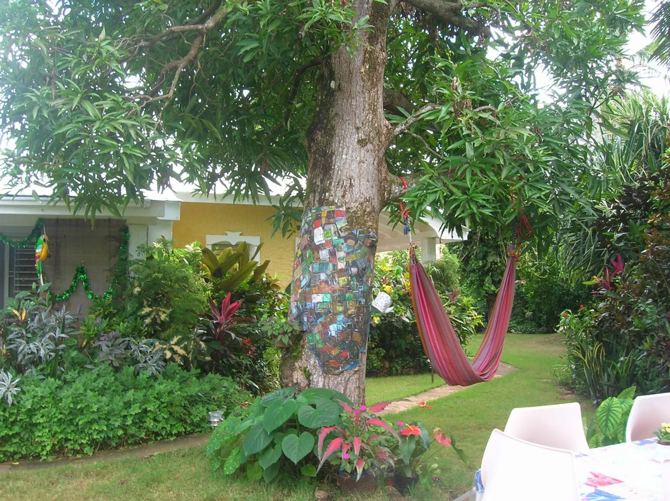 Casa Por Que No