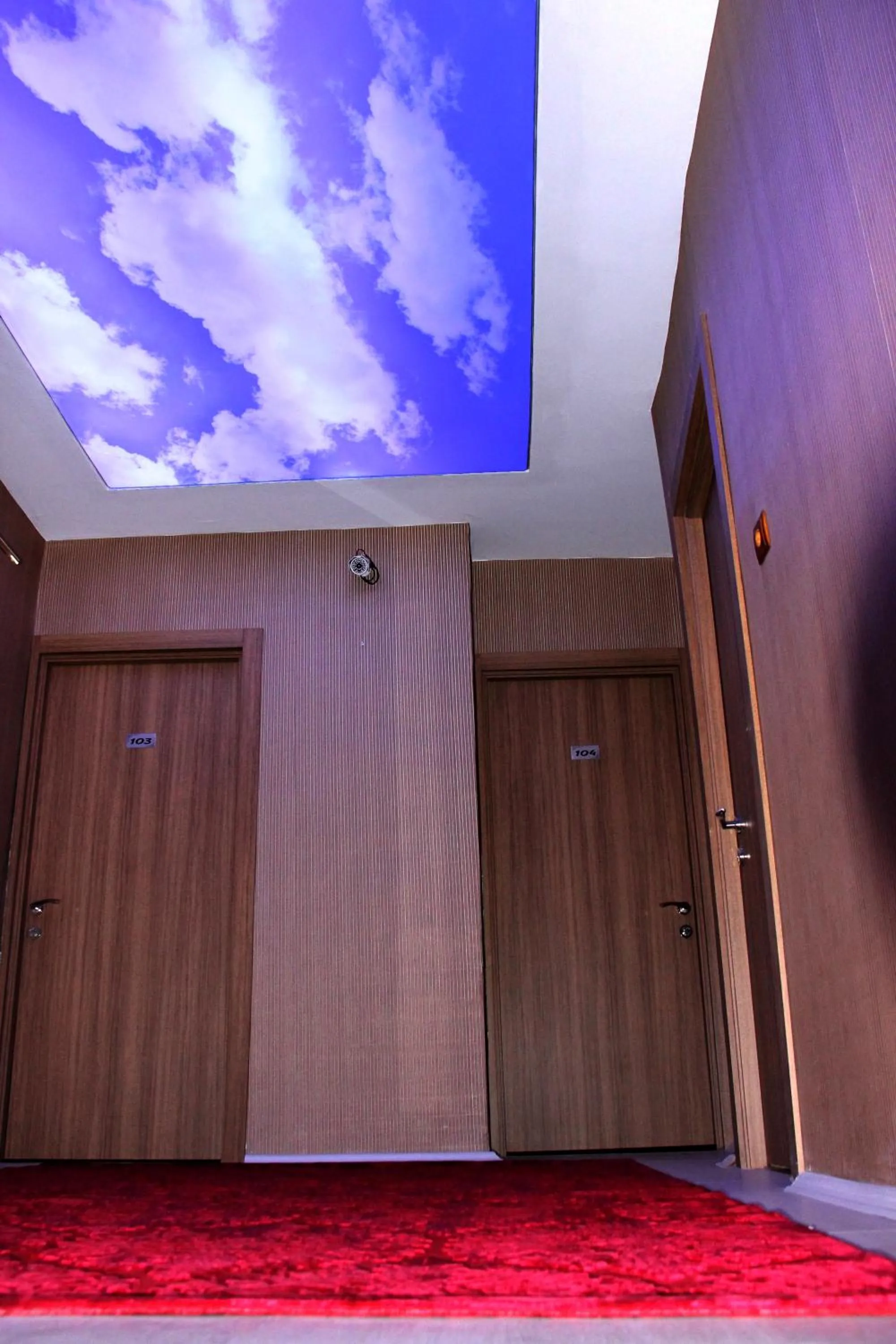 Decorative detail in Kars Konak Hotel