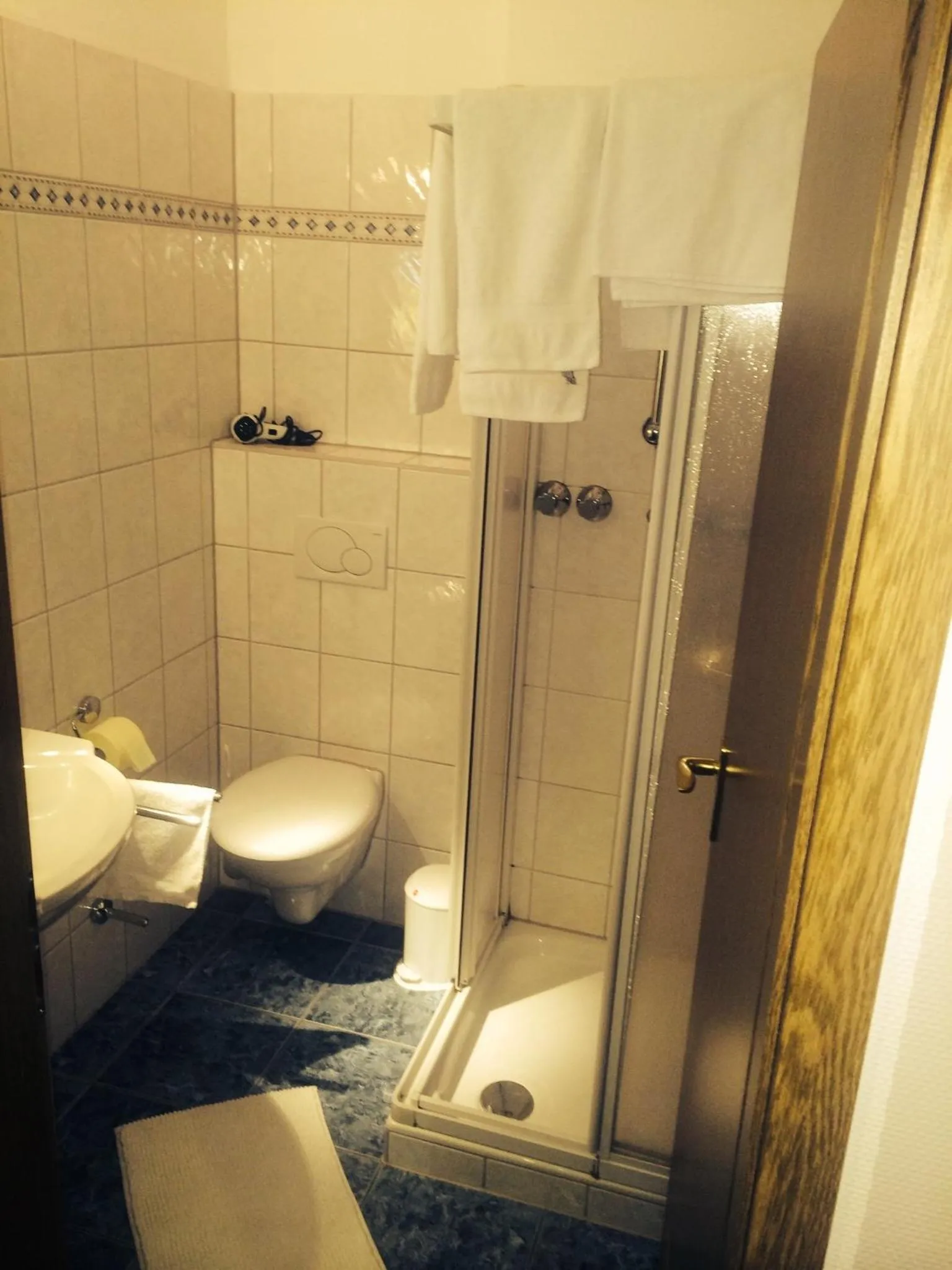 Shower in Hotel Friesenhof