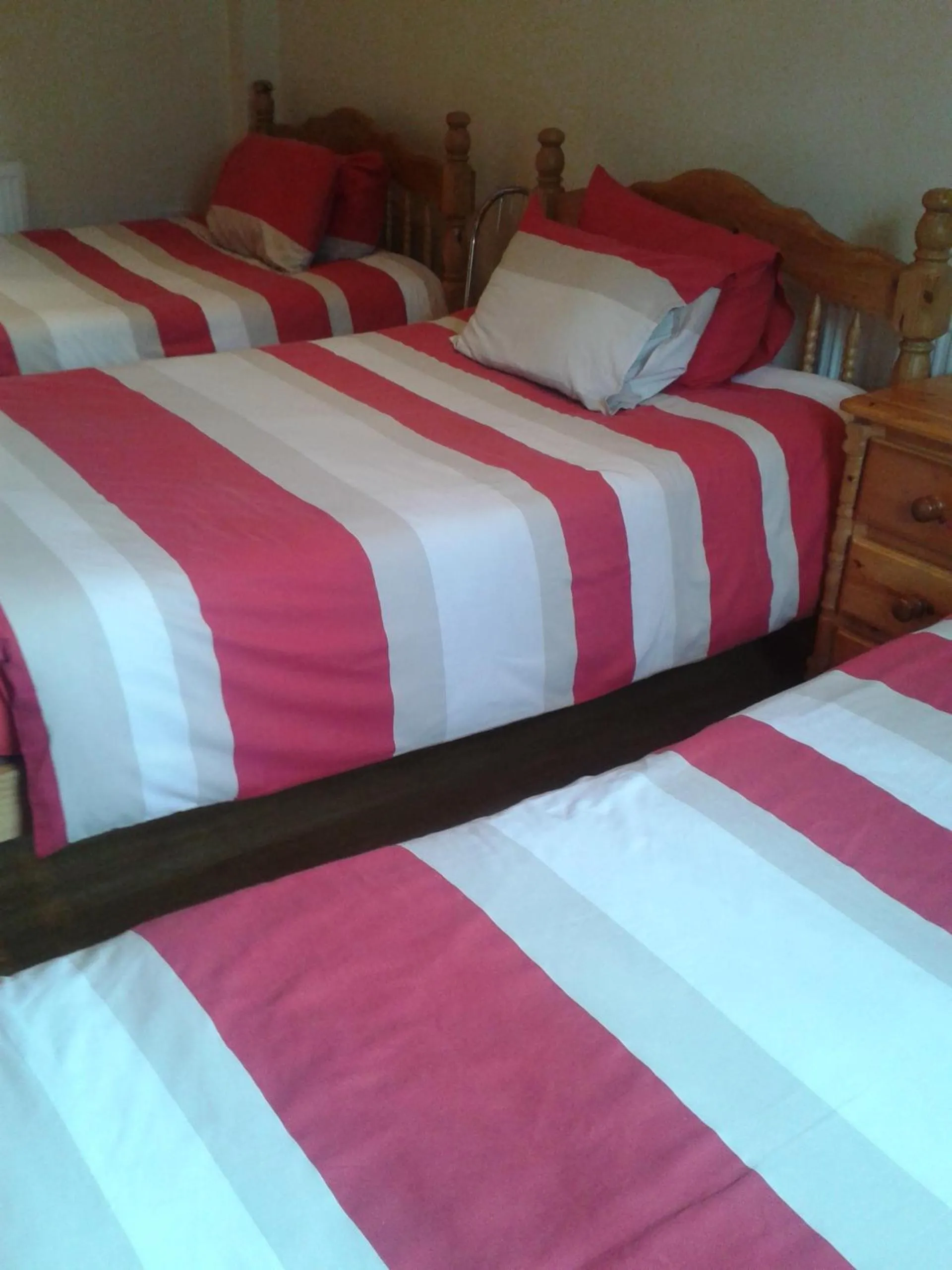 Bed in Nite Inn Bed & Breakfast