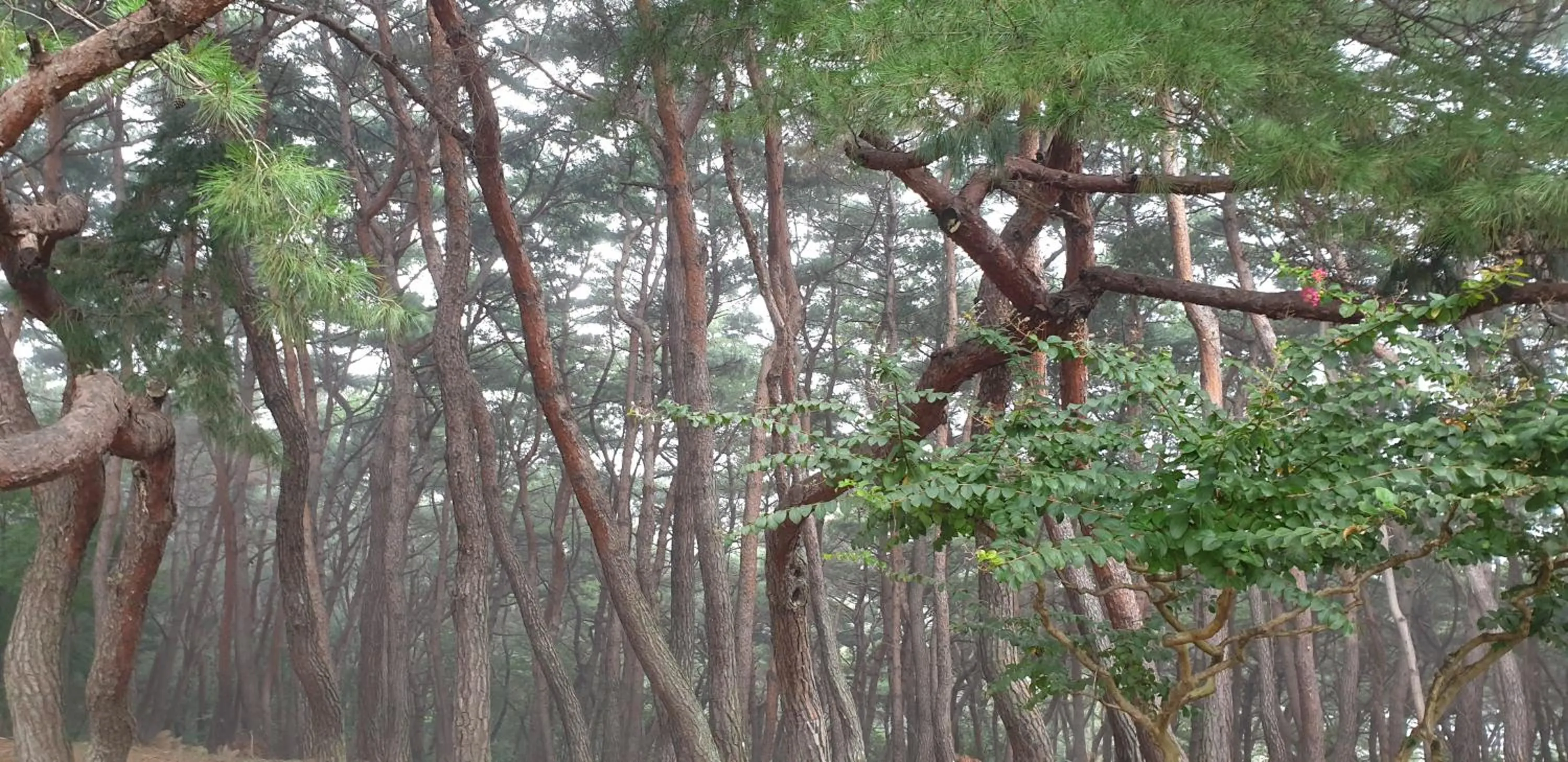 Natural landscape in JI Boutique Hotel