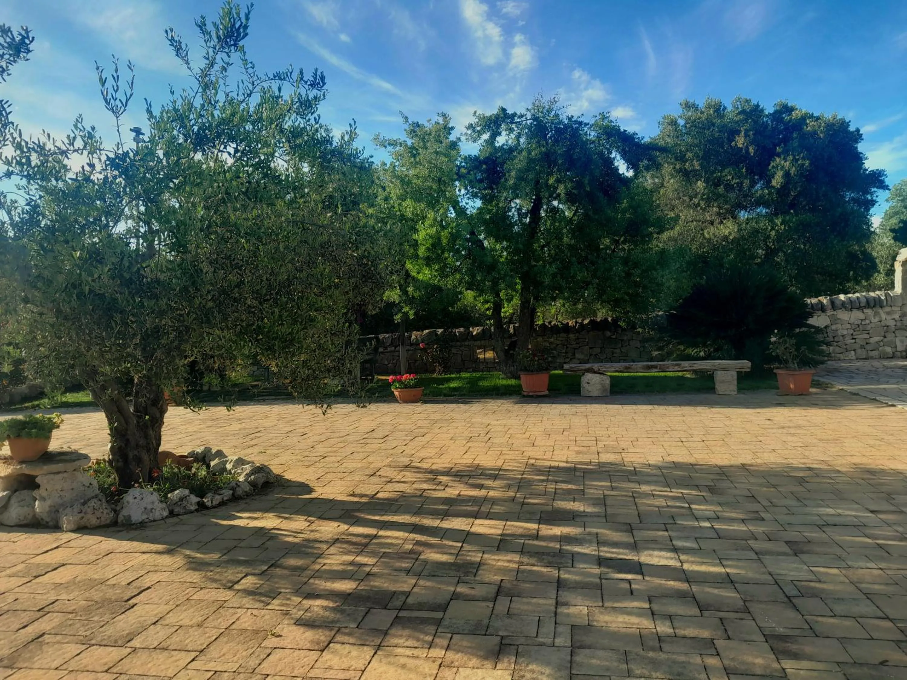 Day in La Rosa dei Trulli B&B