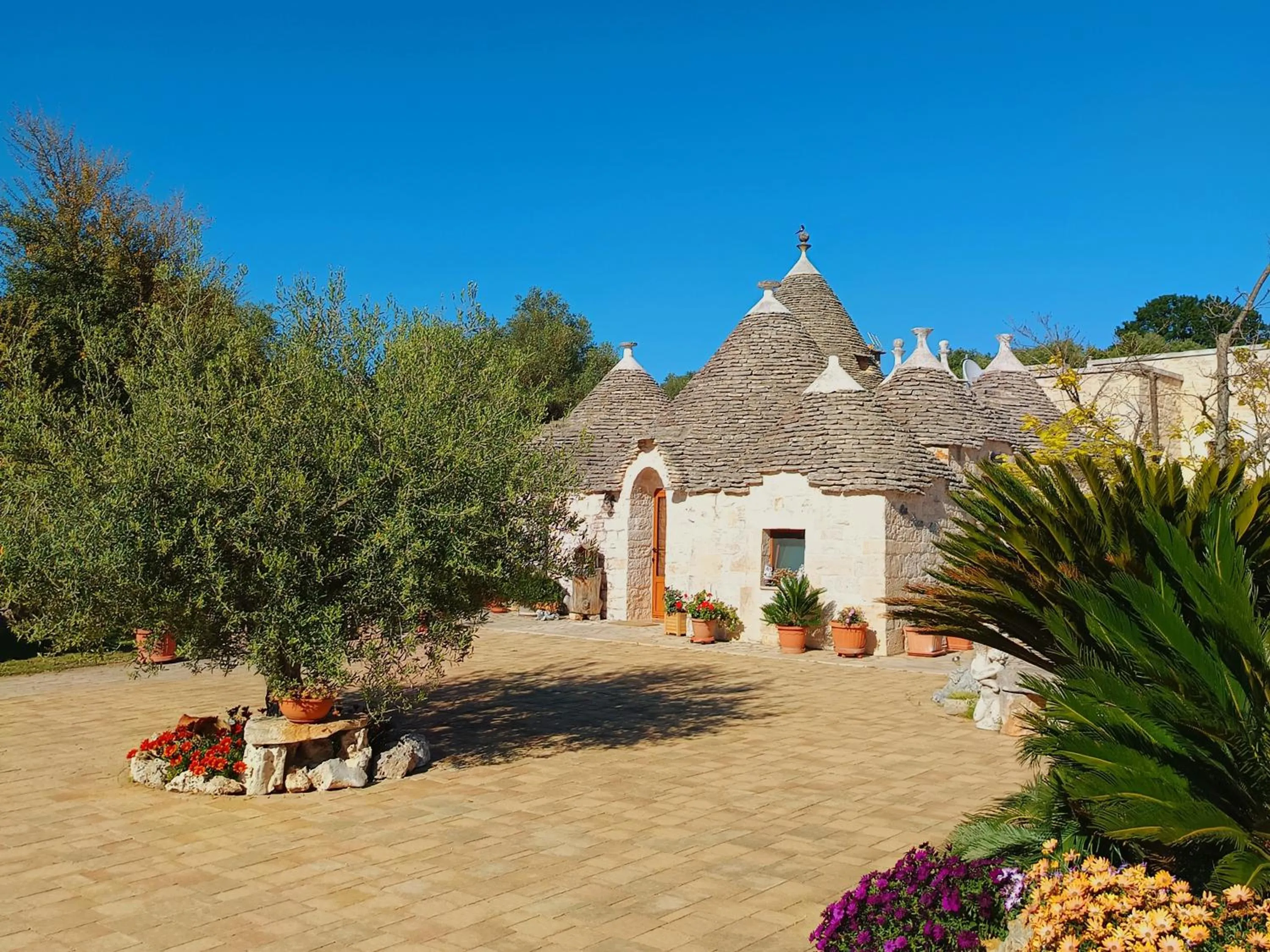 Property building in La Rosa dei Trulli B&B
