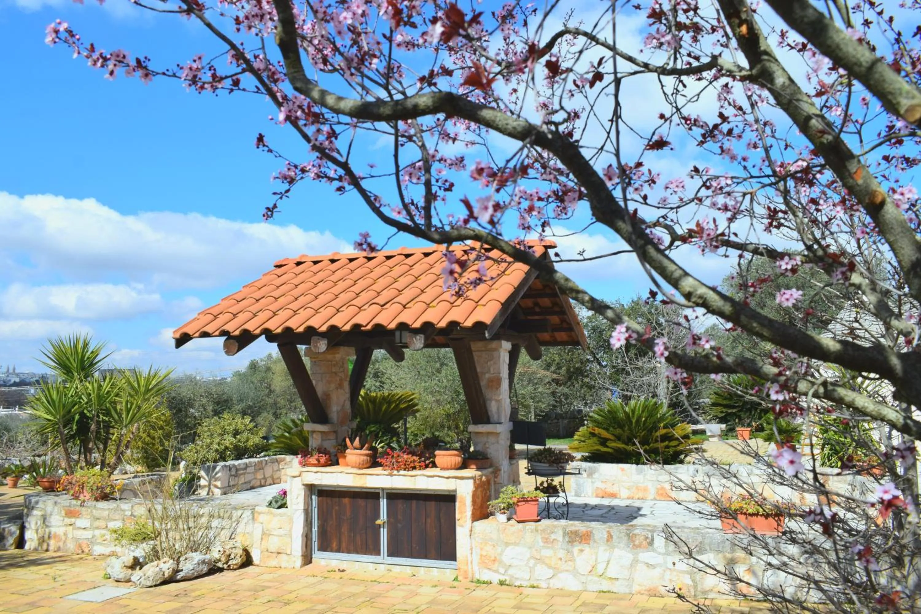 Spring in La Rosa dei Trulli B&B