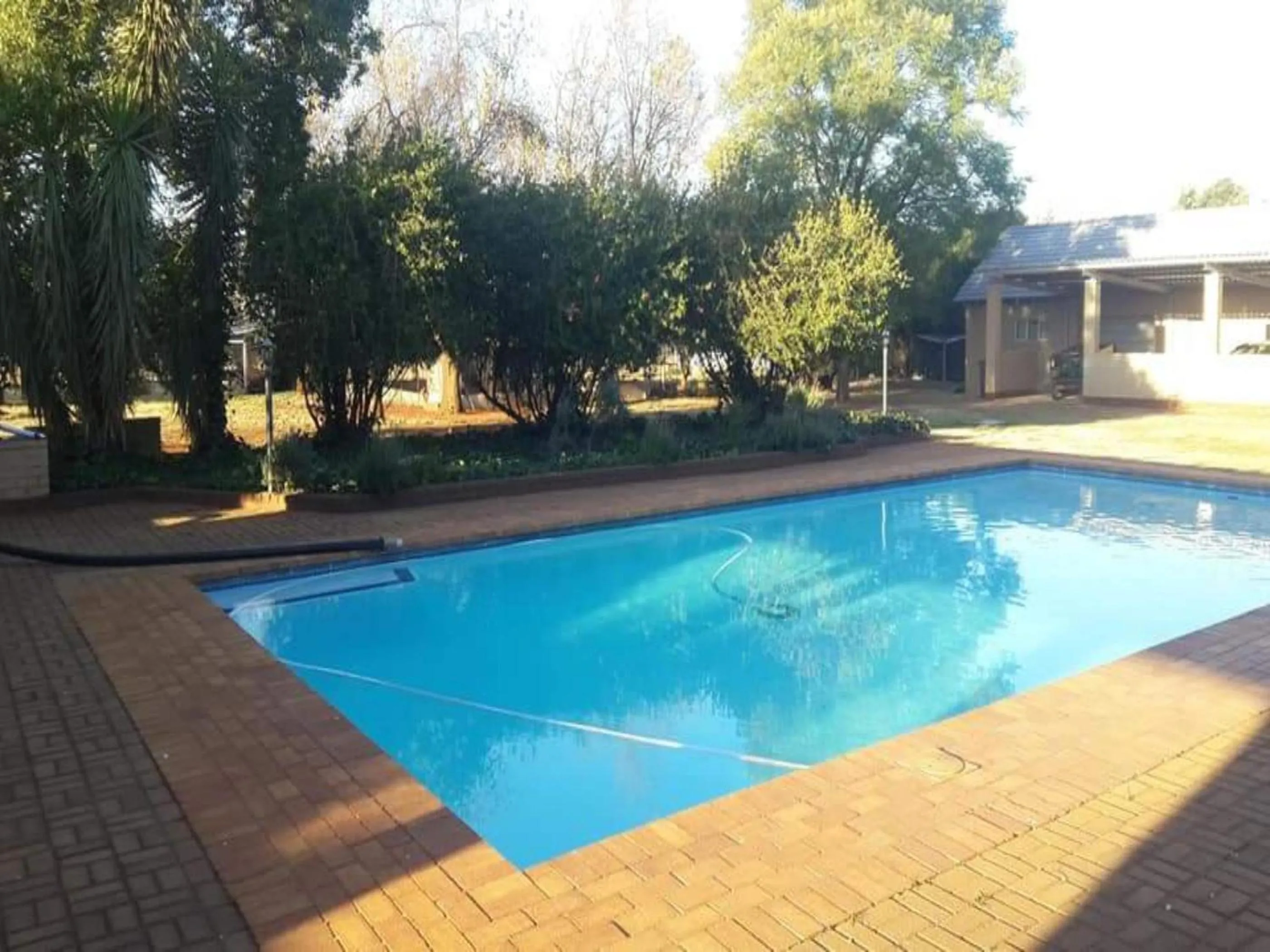 Swimming pool in Aloe Tree Guest House