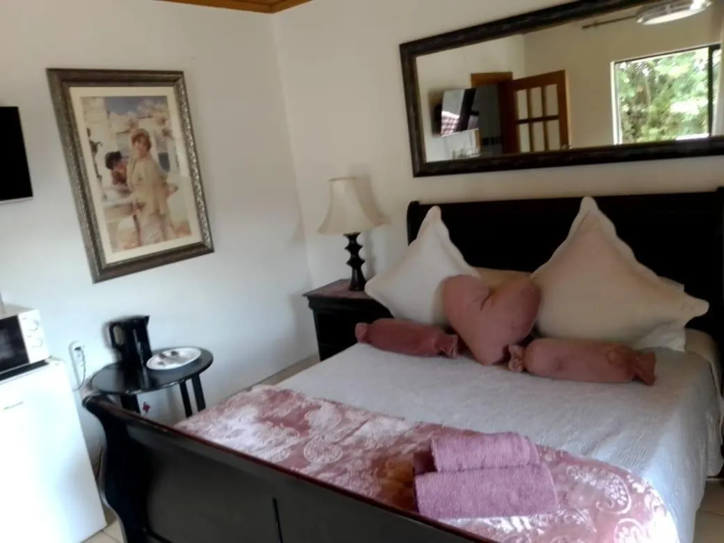 Bed in Aloe Tree Guest House