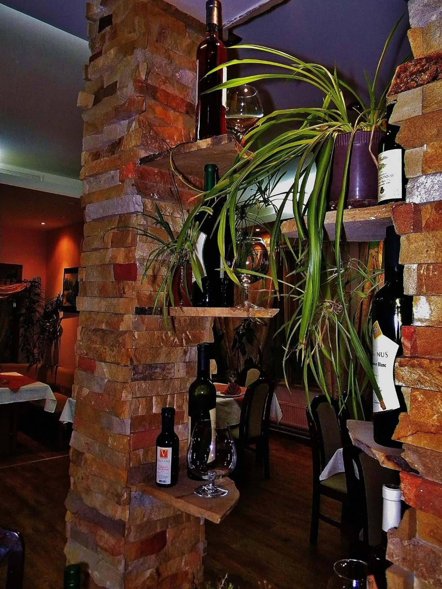 Alcoholic drinks in Garni hotel Vir