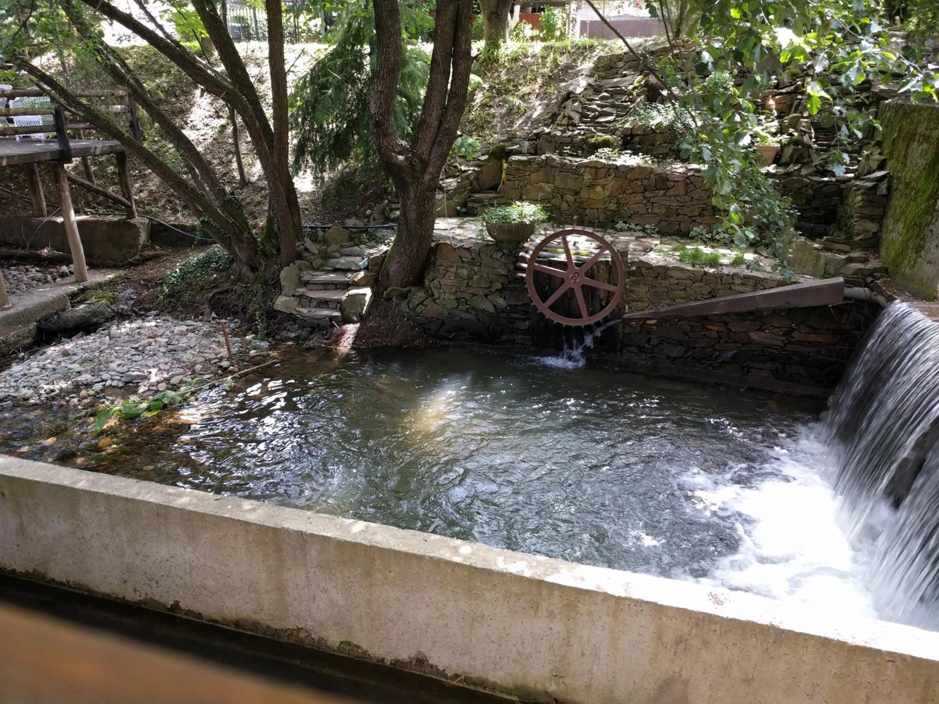 Restaurant/places to eat in Garni hotel Vir