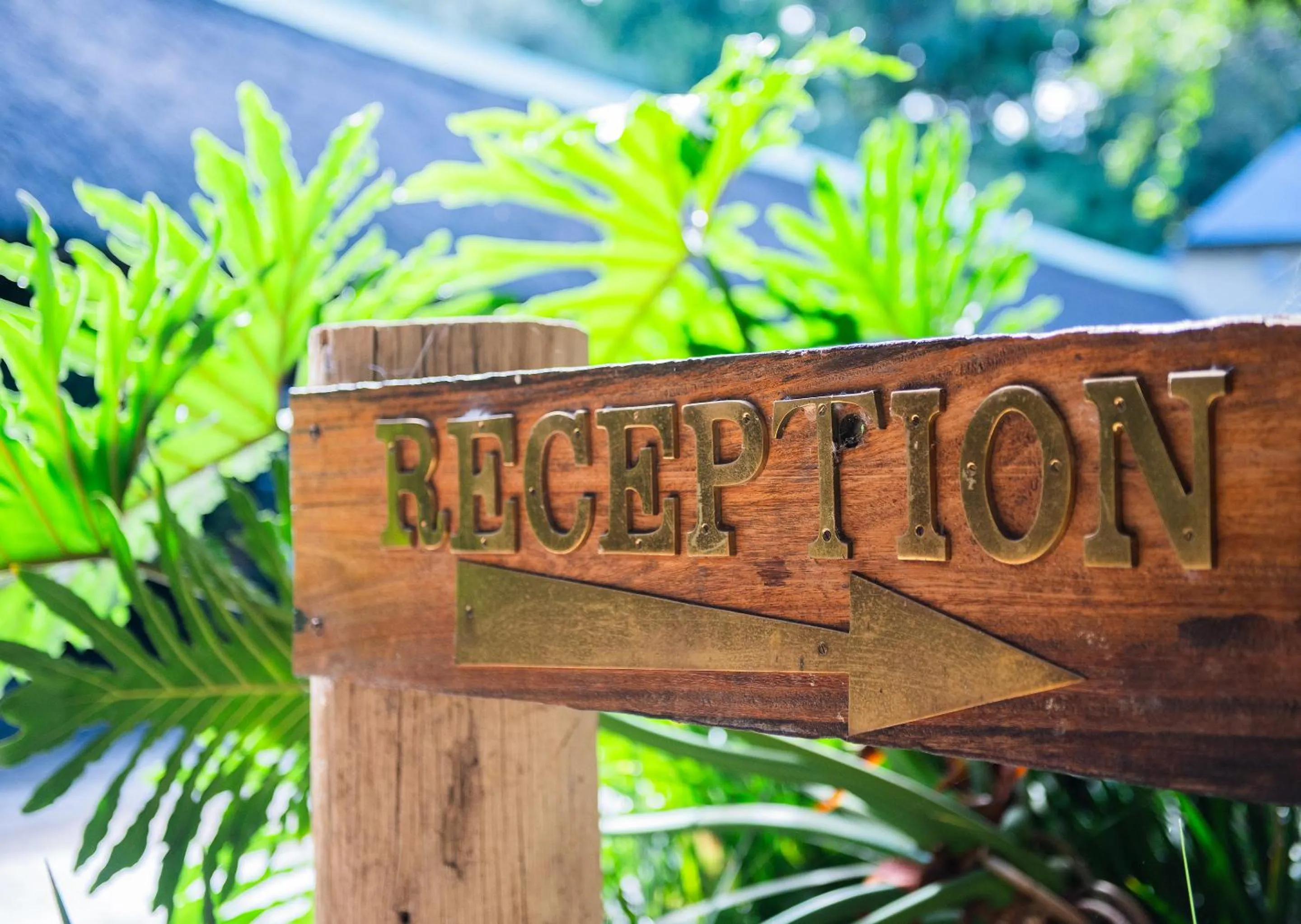 Spring in Little Switzerland Resort by Dream Resorts