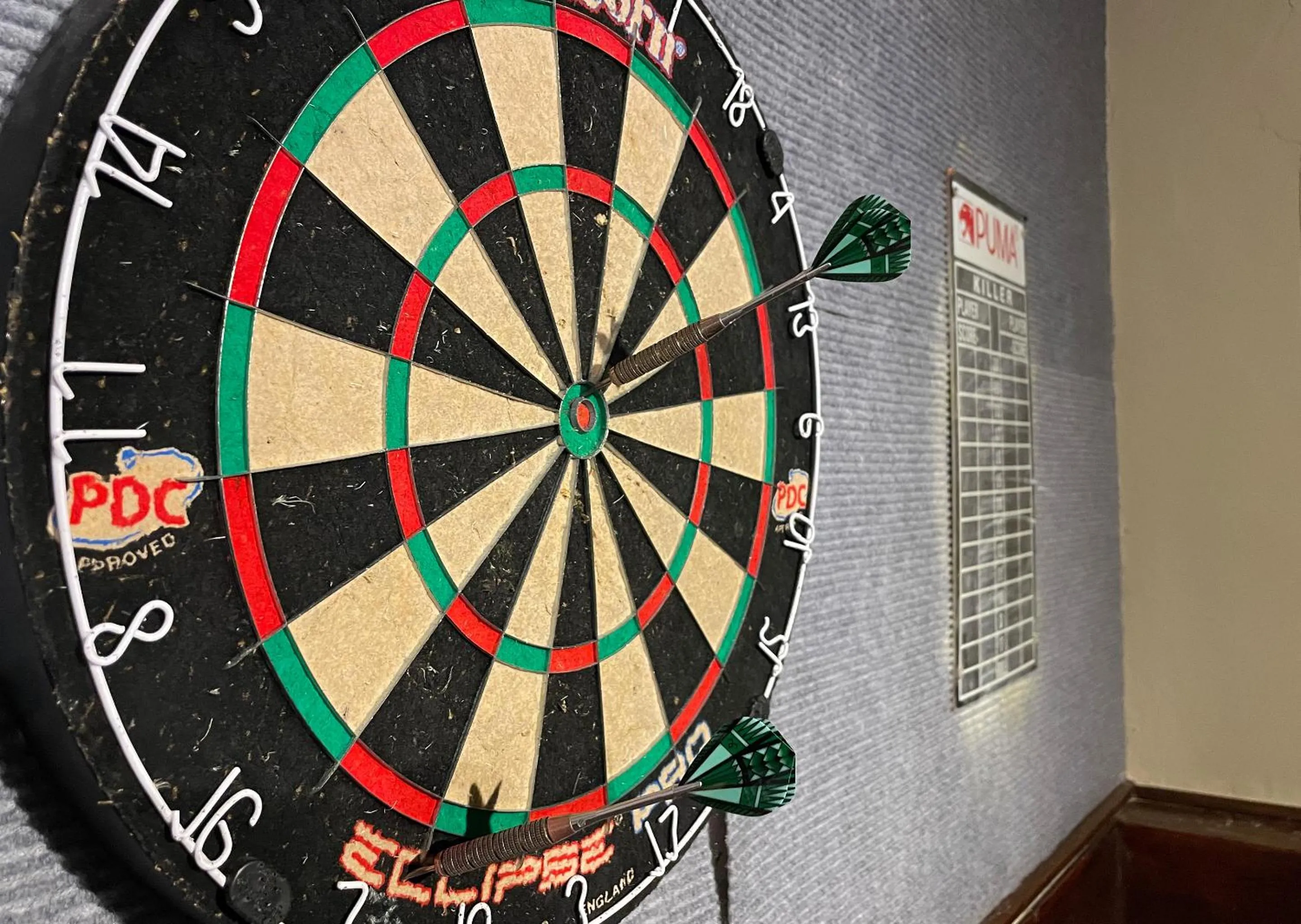 Darts in Little Switzerland Resort by Dream Resorts