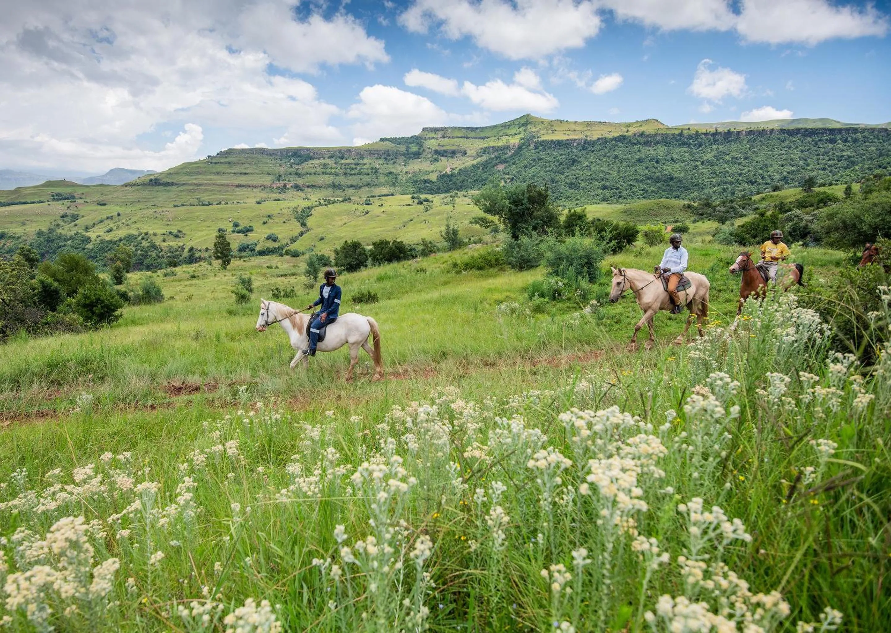 Spring in Little Switzerland Resort by Dream Resorts