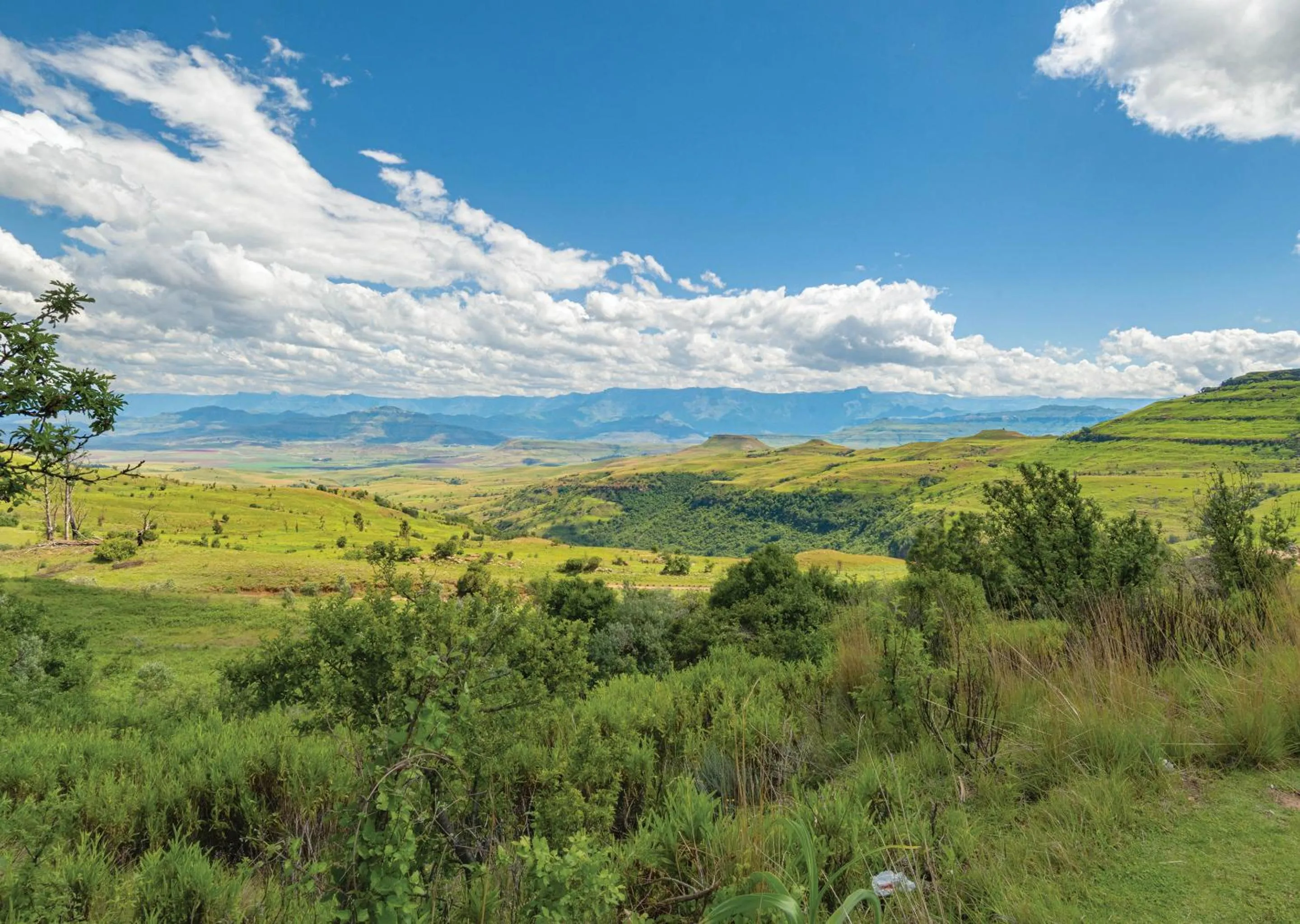 Natural landscape in Little Switzerland Resort by Dream Resorts