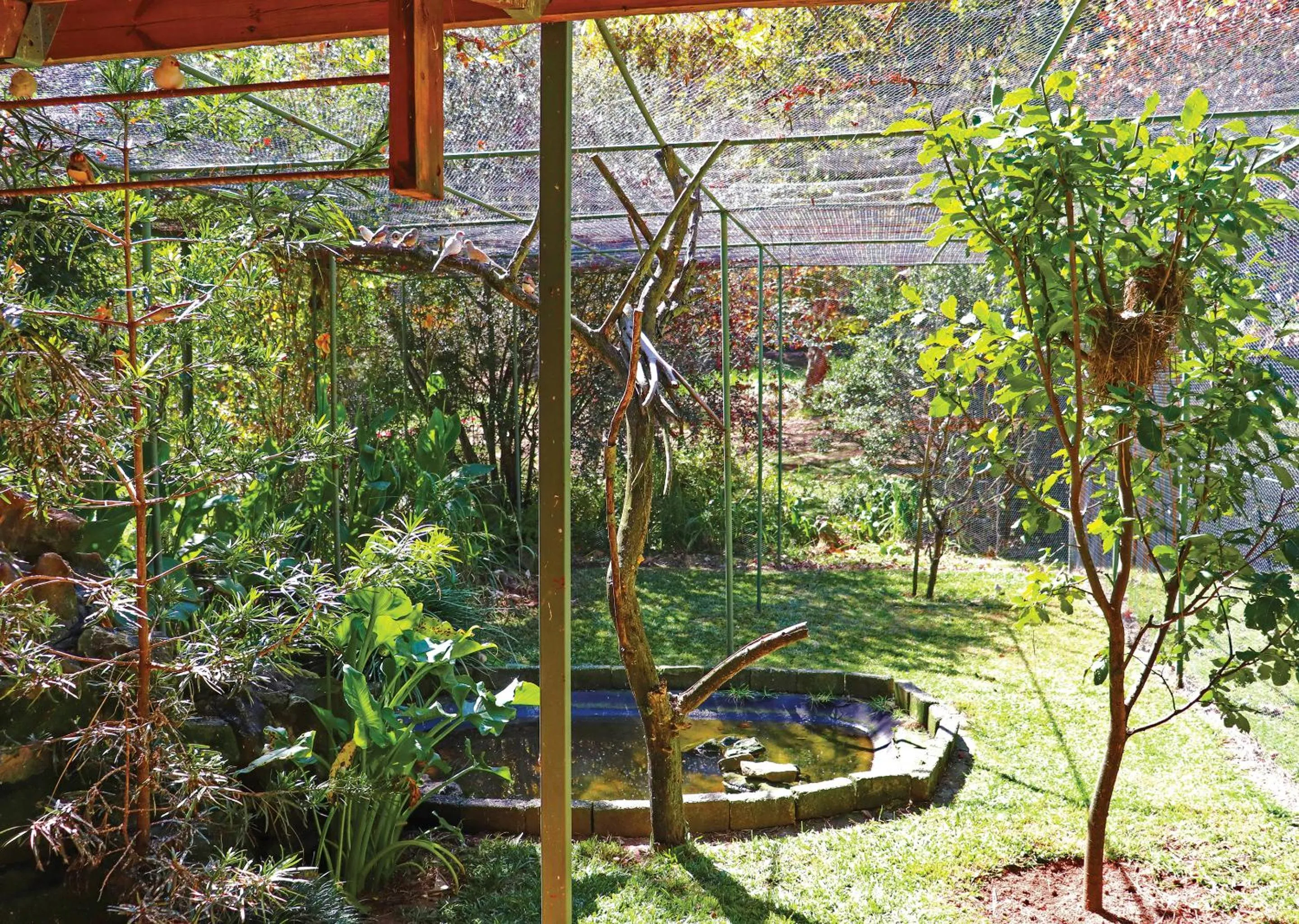 Natural landscape in Little Switzerland Resort by Dream Resorts