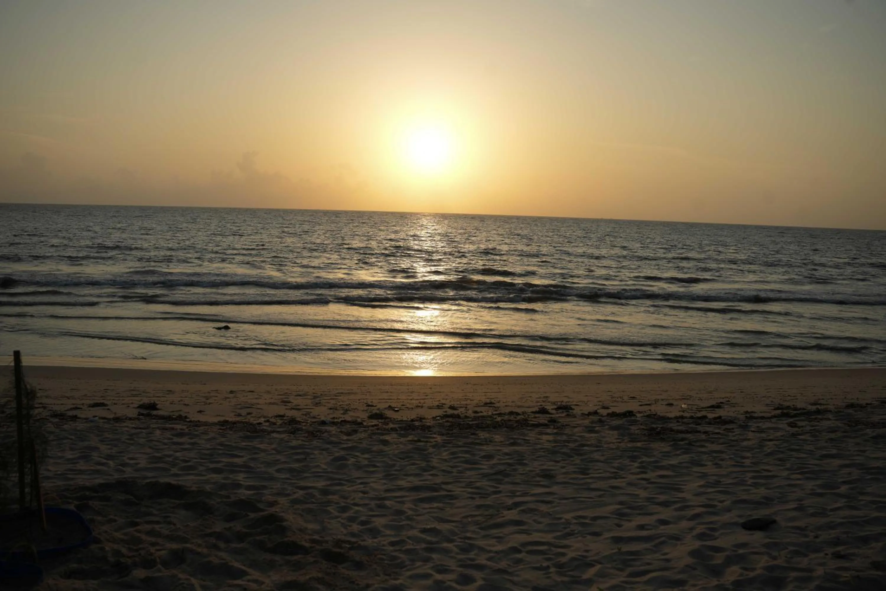 Natural landscape in Ragas - Marari Beach Villa By Perfect Stays
