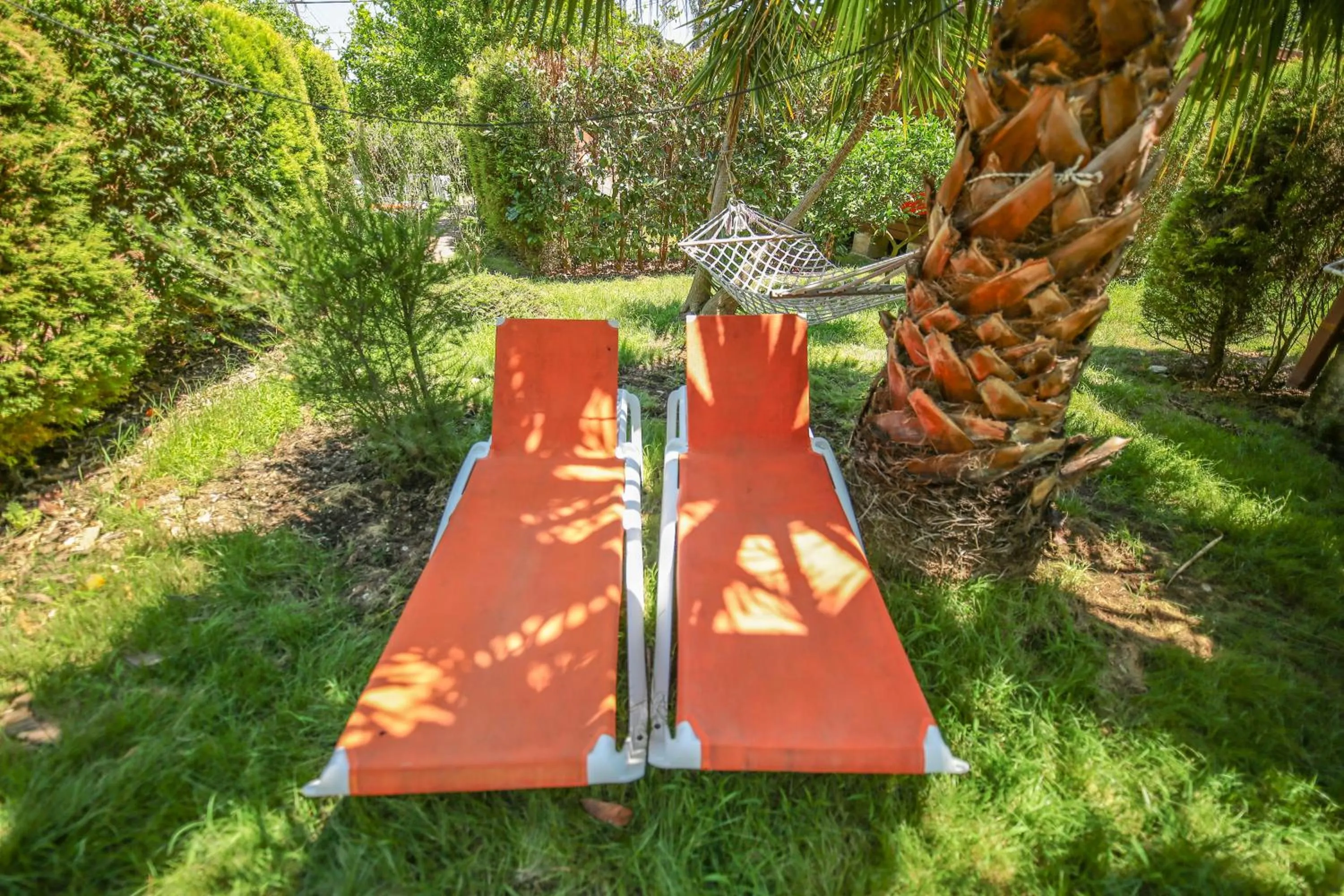 Garden in Villa Zeytin