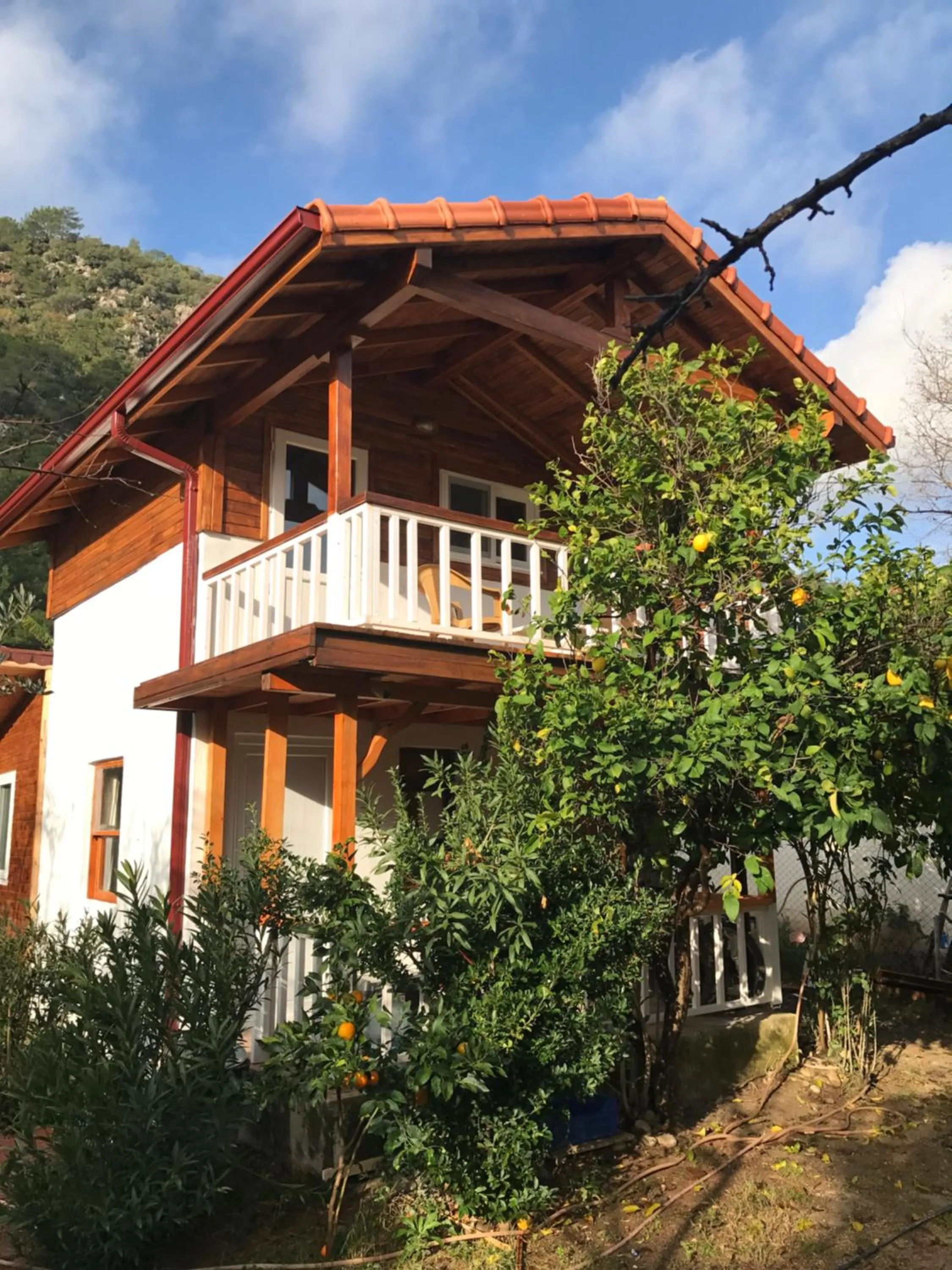Patio in Villa Zeytin