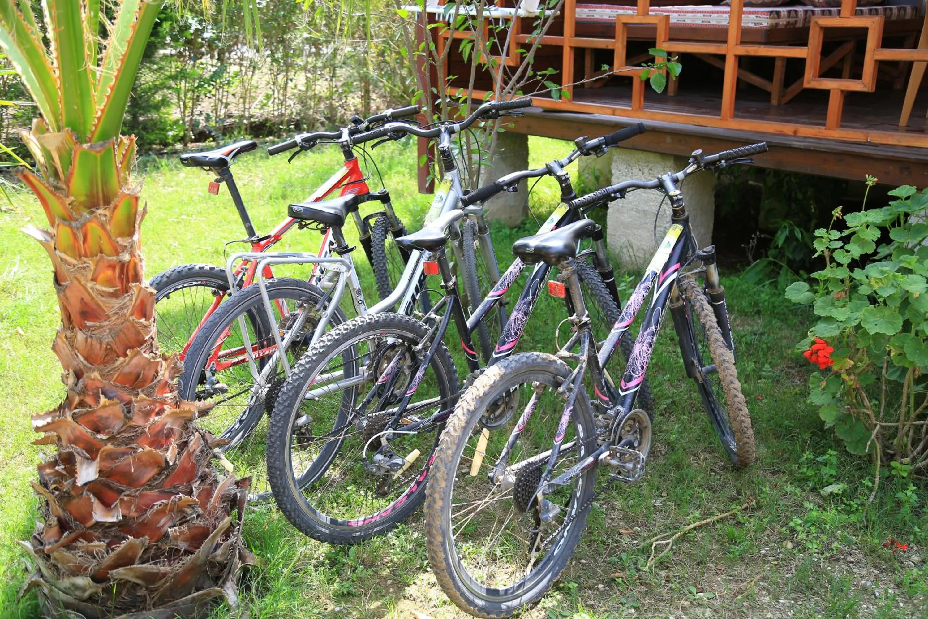 Area and facilities in Villa Zeytin